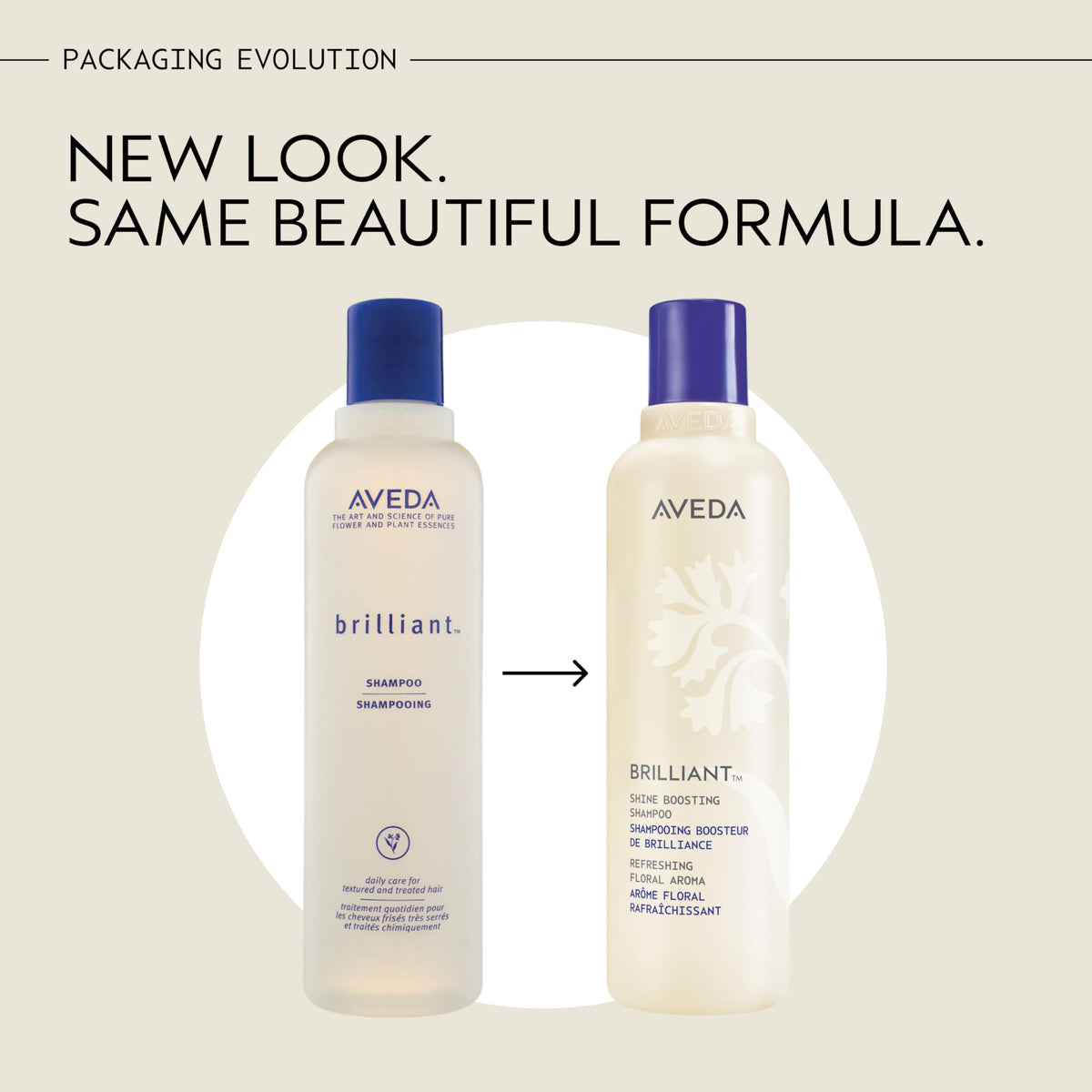 Antique White AVEDA Brilliant Shine Boosting Shampoo | Adds Shine | Clarifying Shampoo Removes Product Build-Up | All Hair Types | Jasmine, Rose, Clove Aroma | 8.5 Fl Oz