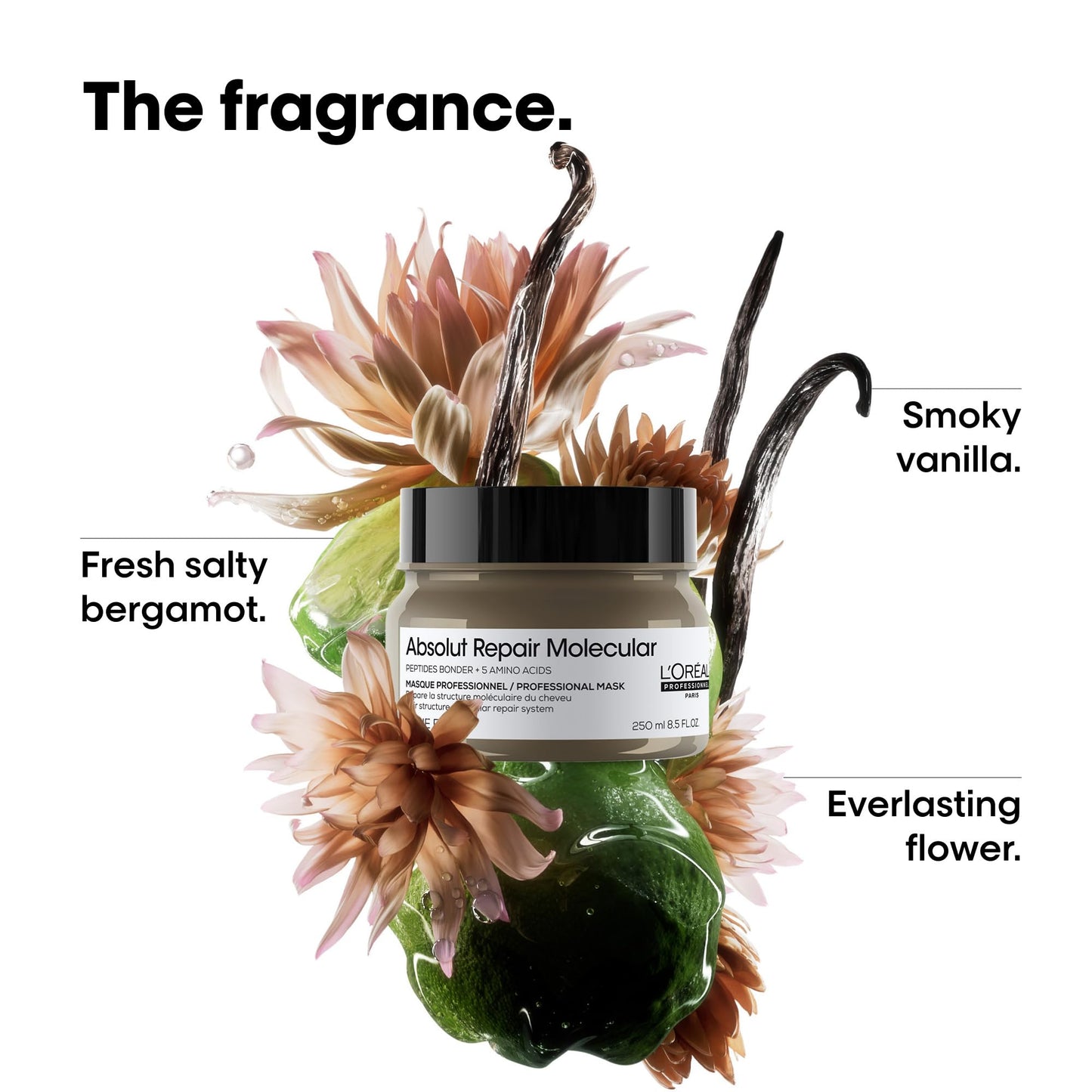White Smoke L'Oréal Professionnel Paris Absolut Repair Molecular Hair Mask - Repairs Damage & Restores Strength For Extremely Dry Damaged Hair, Extra Detangling & Hydration, Peptides Bonder