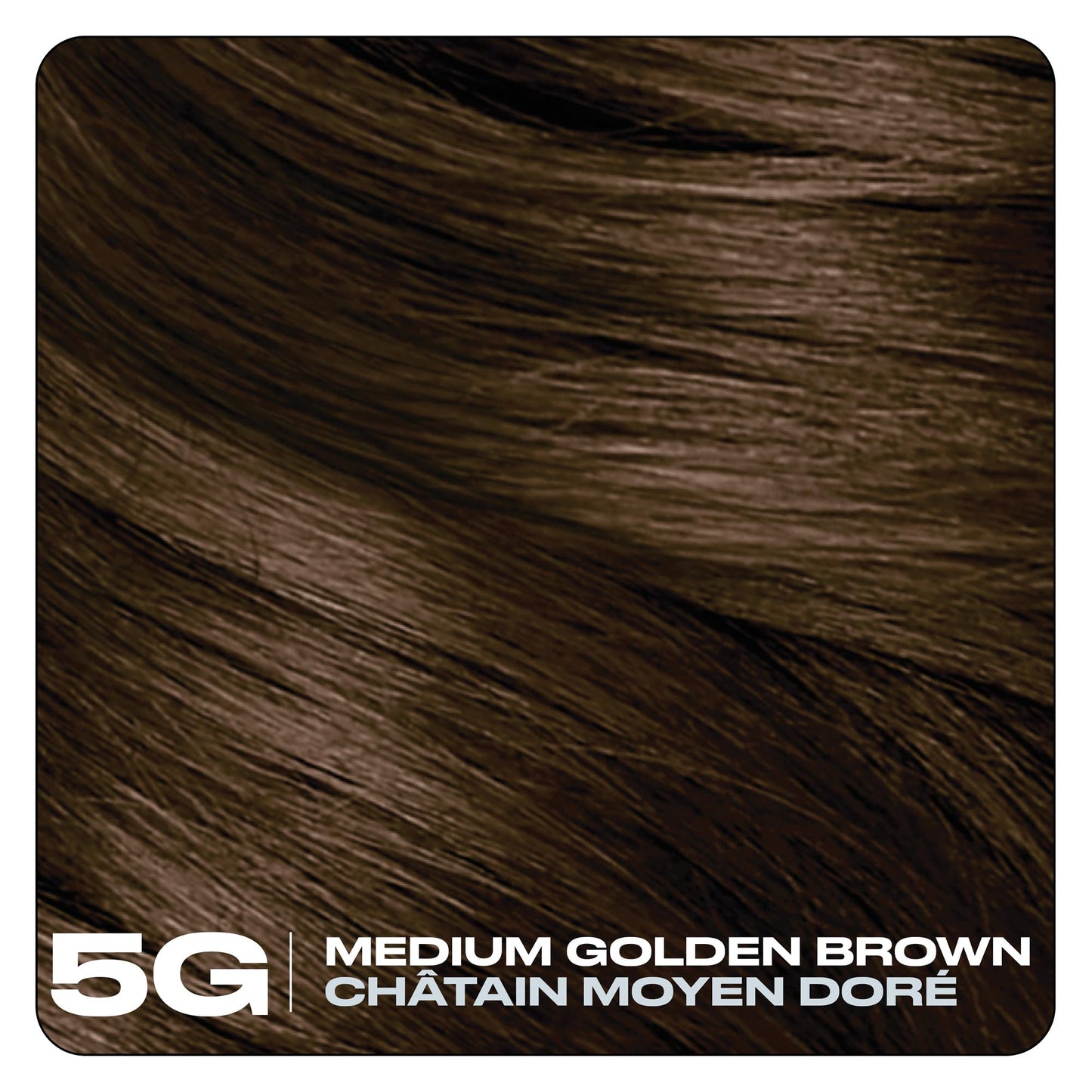 Black Clairol Nice'N Easy 10 Permanent Hair Dye, 5G Medium Golden Brown Hair Color, Pack of 1
