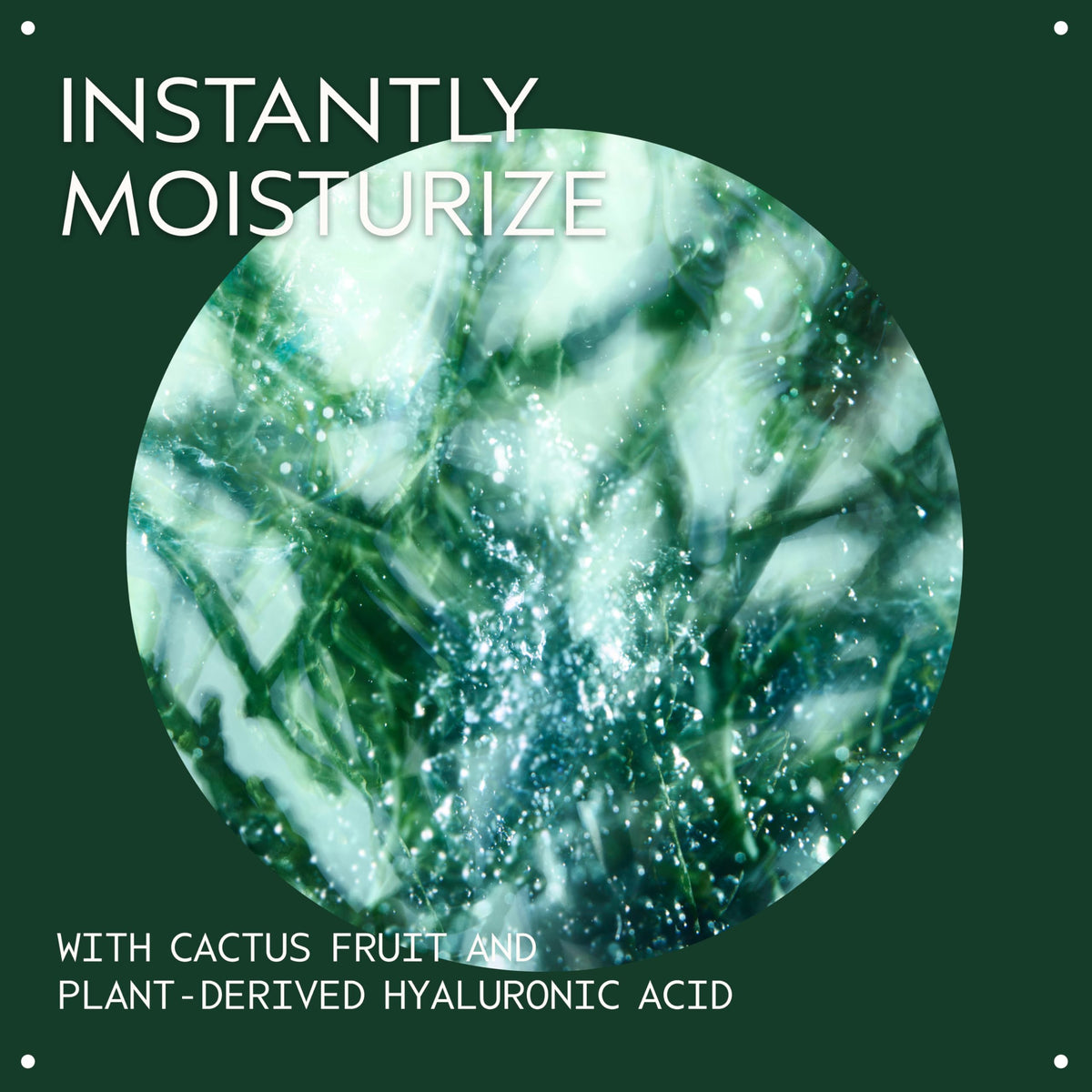 Dark Slate Gray Aveda Botanical Kinetics Intense Hydrator Serum | Restores Skin Moisture Barrier | Minimizes the Look of Dry, Fine Lines | with Plant-Derived Hyaluronic Acid | 98% Naturally Derived*, 1 Fl Oz