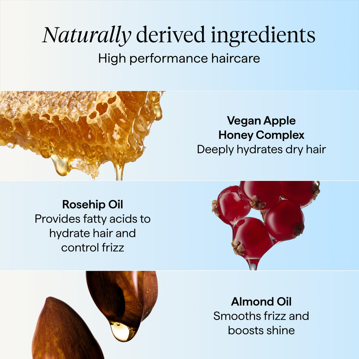 Lavender Briogeo Honeybear Hair Mask