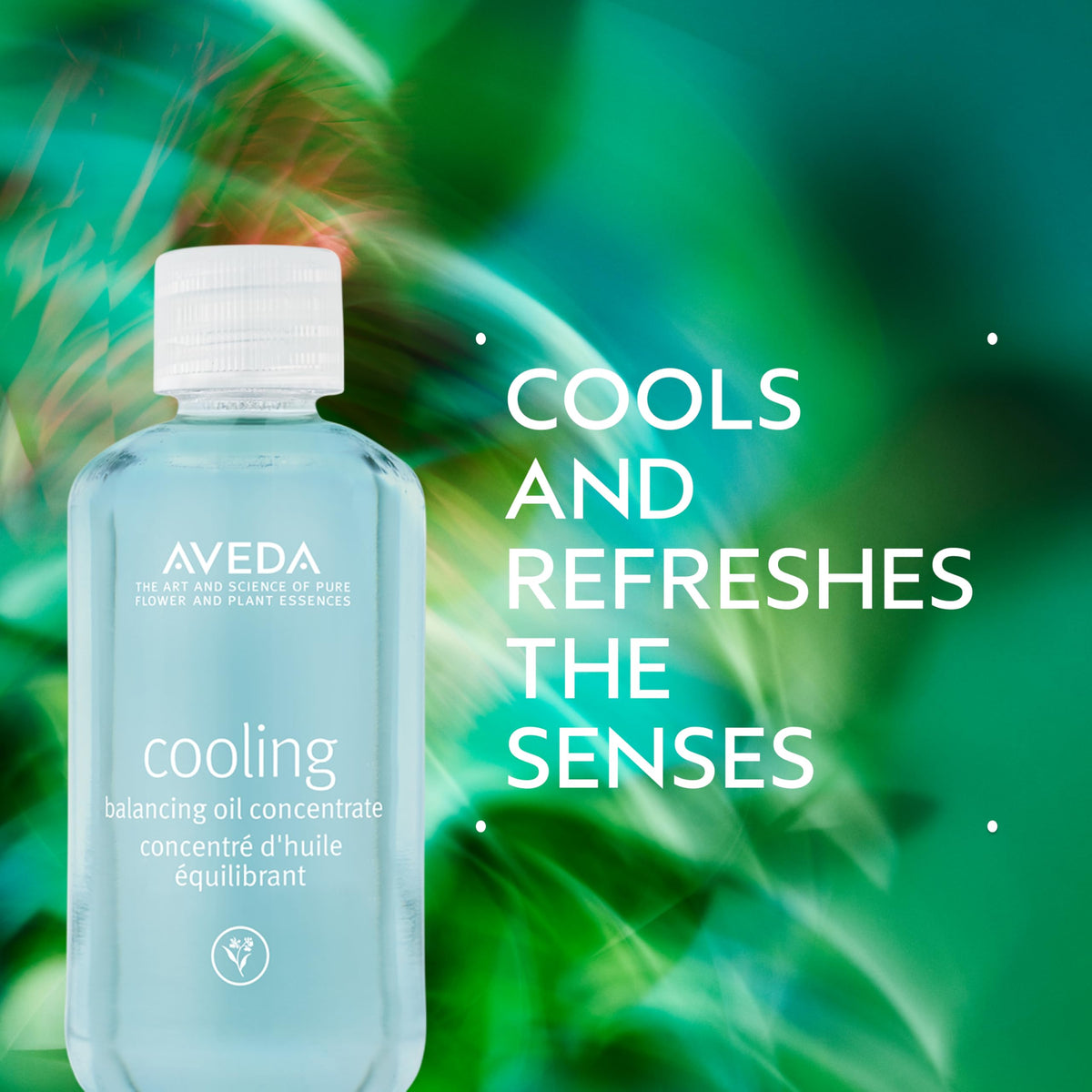 Light Blue Aveda Cooling Balancing Oil Concentrate | Massage Into Sore, Achy Muscles | with Certified Organic Peppermint, Blue Chamomile | Naturally Derived* Menthol