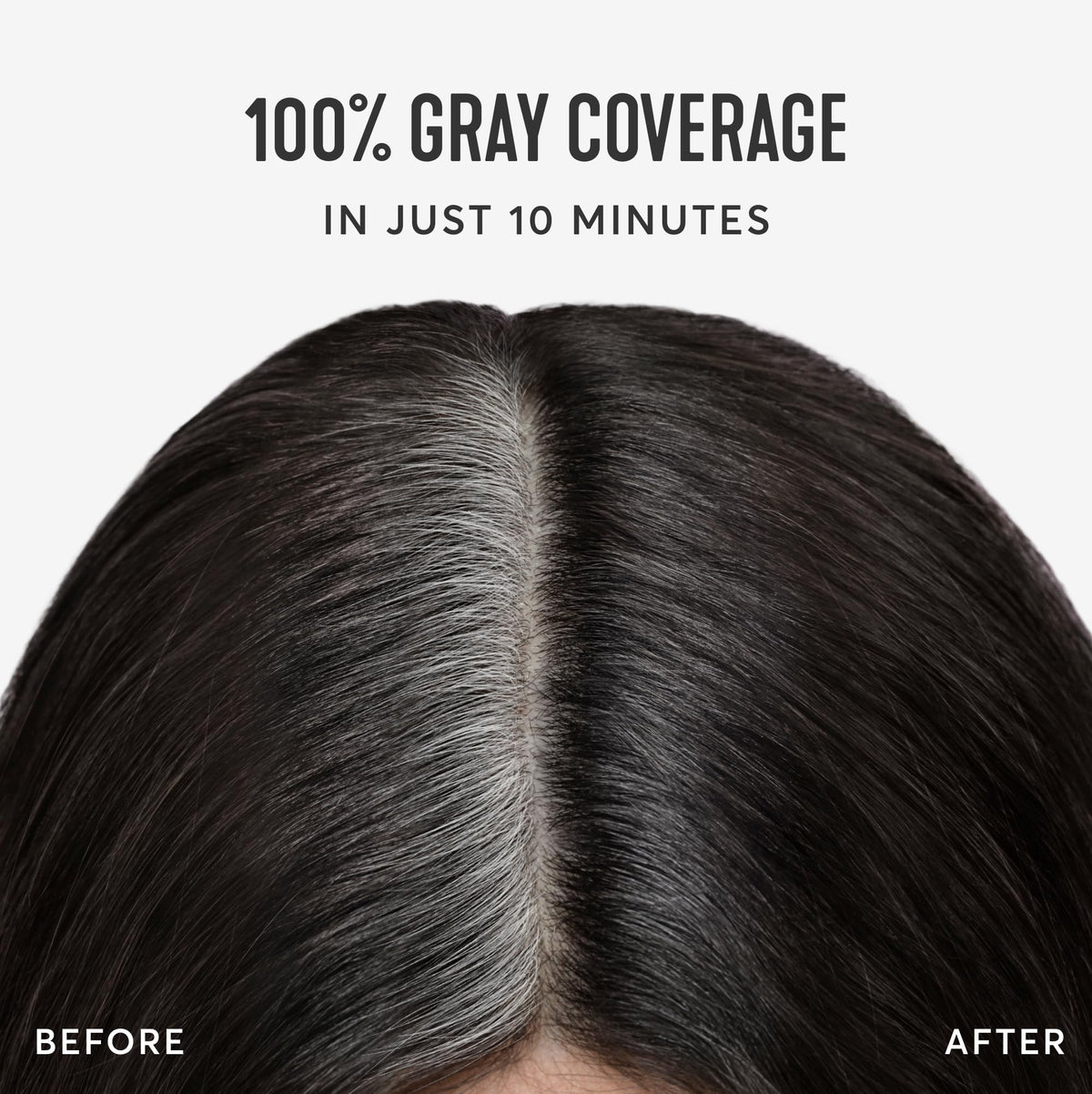 Madison Reed Root Perfection Root Touch Up Kit – 4N Spoleto Darkest Brown, 100% Gray Coverage in 10 Min, Ammonia-Free, 2 Applications