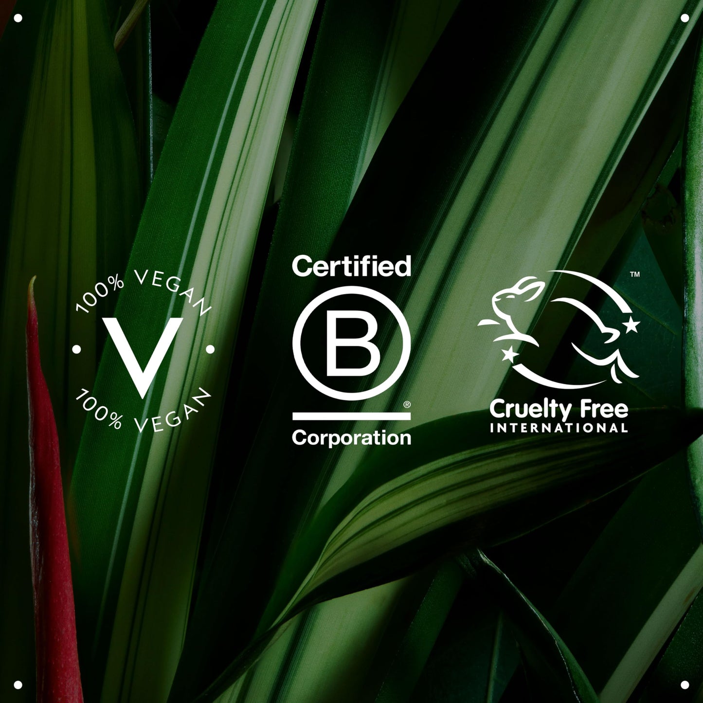Black Aveda Be Curly Advanced Curl Perfecting Primer | for Wavy, Curly & Coily Hair | Detangles & Smooths | Products Against Humidity, Reduces Frizz | Silicone Free | 97% Naturally Derived*, 6.7 Fl Oz