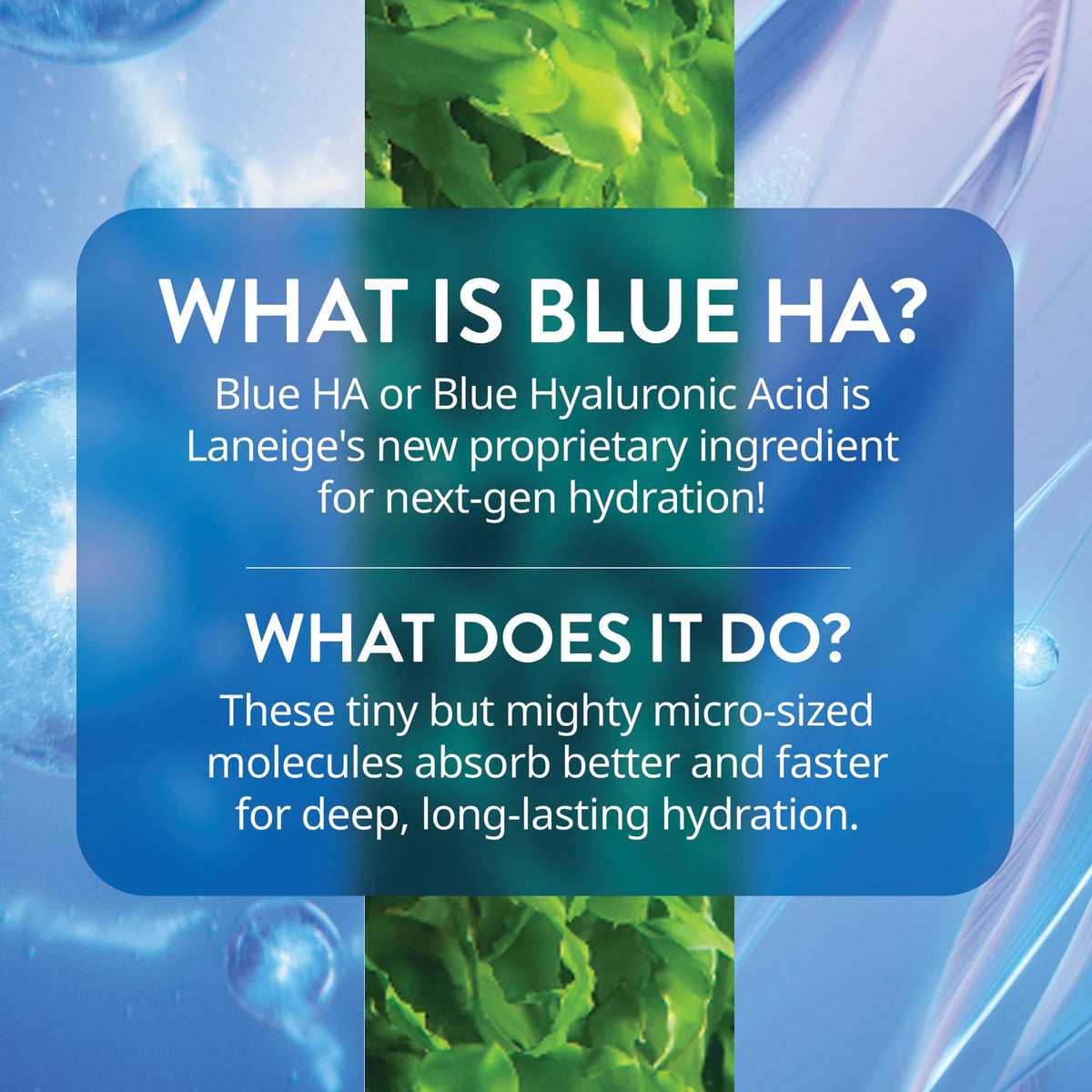 Steel Blue LANEIGE Water Bank Blue Hyaluronic Serum