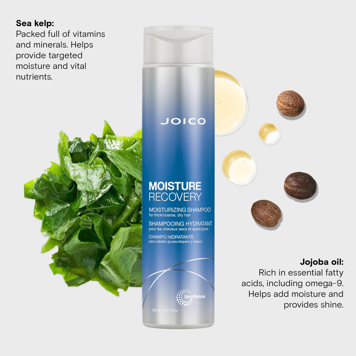 Lavender Joico Moisturizing Shampoo for Thick, Coarse, Dry Hair - Restores Moisture, Strength with Jojoba Oil & Shea Butter, 10.1oz