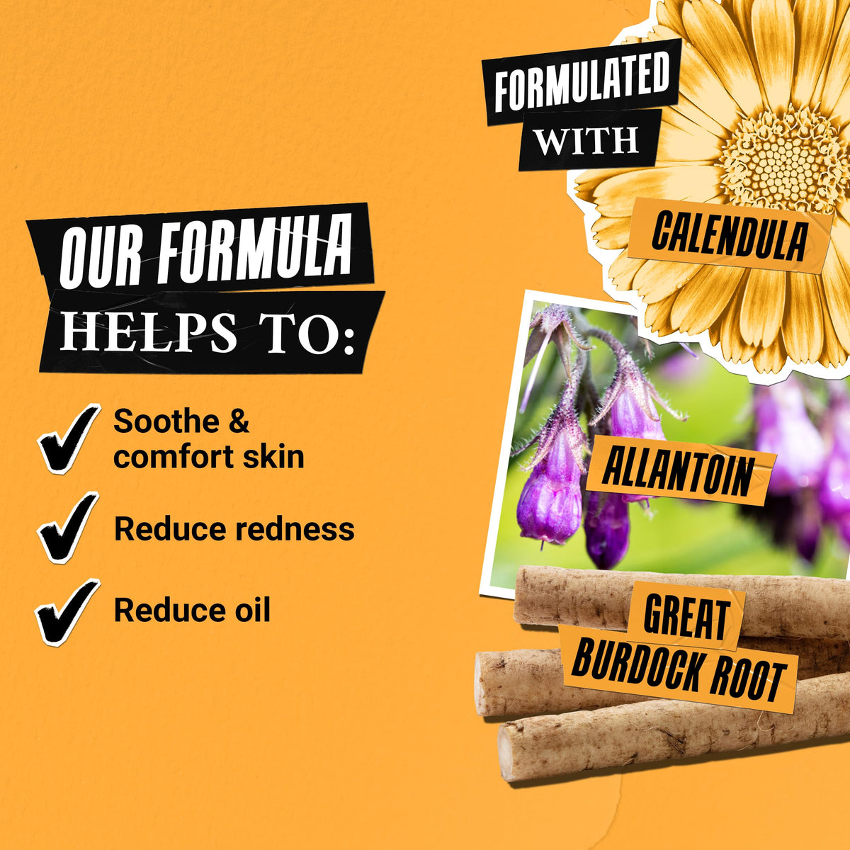 Goldenrod Kiehl's - Calendula Herbal Extract Toner - 4.2 fl oz