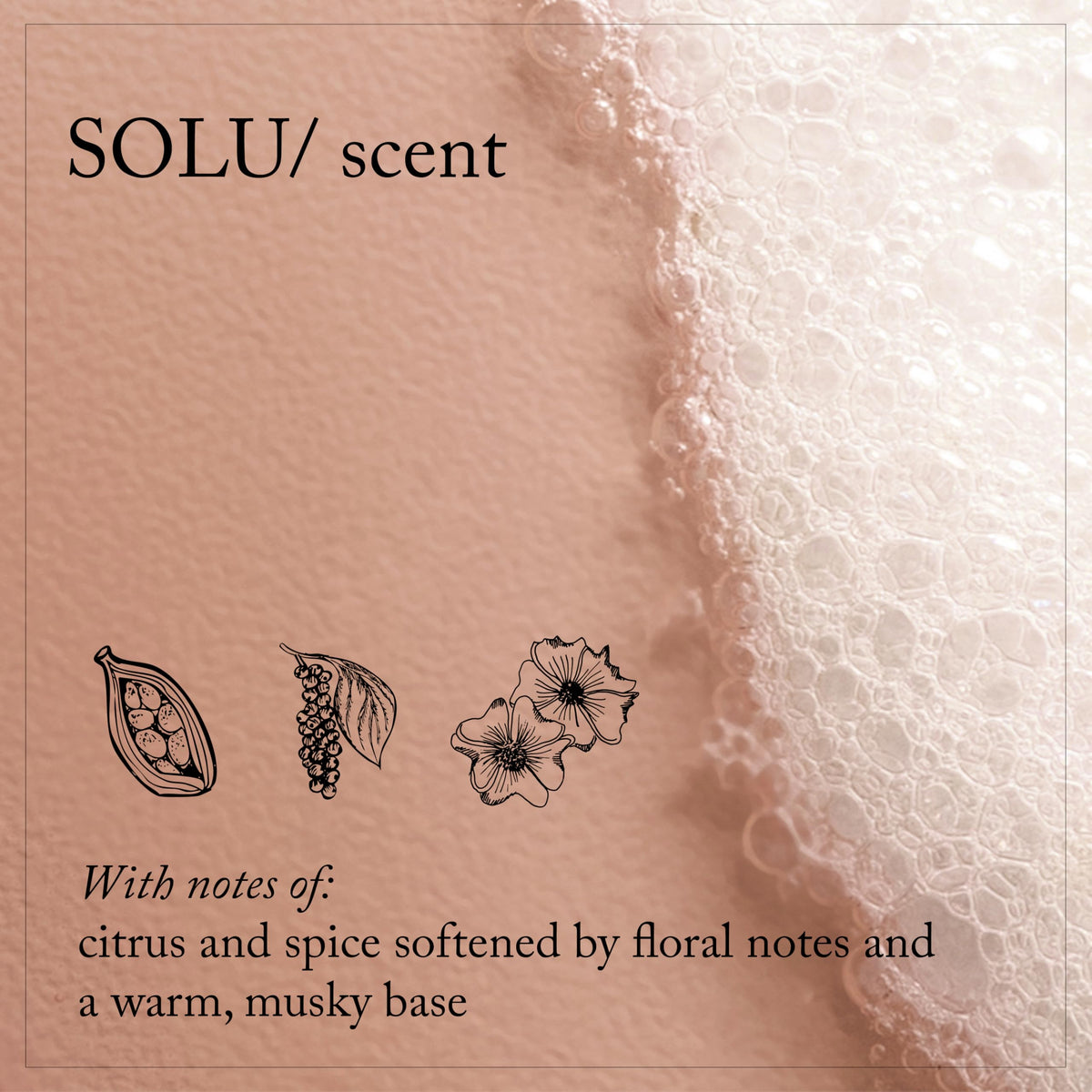 Rosy Brown Davines SOLU/Shampoo Clarifying Deep Cleansing For All Hair Types 8.5 Floz