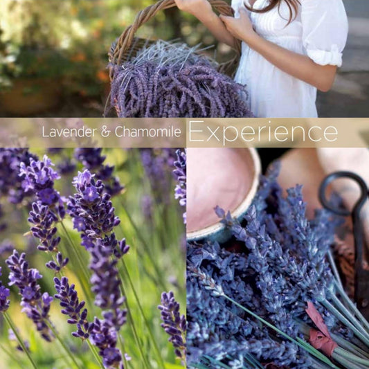 Dim Gray Cuccio Naturale Lavender & Chamomile Cuticle Revitalizing Oil, 8 Fl Oz, Plant-Derived Formula for Dry Cuticles