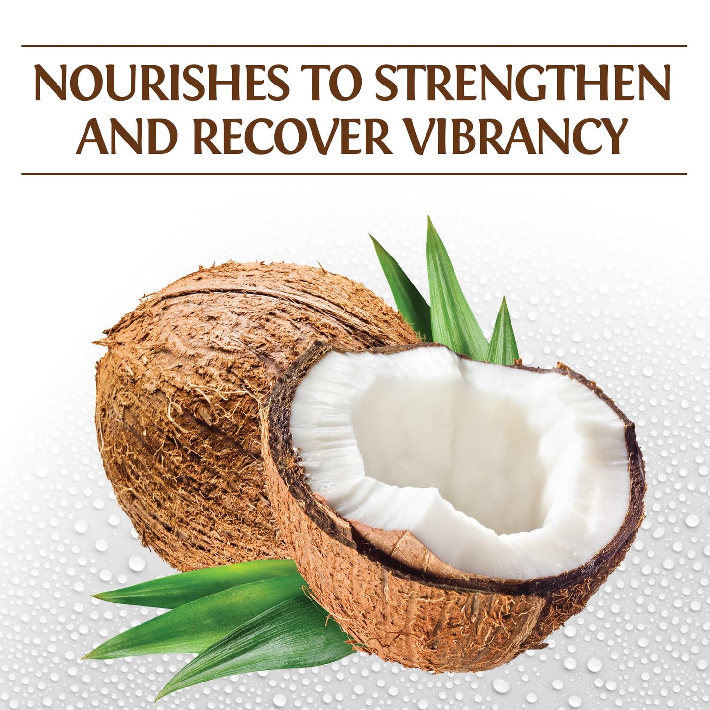 White Smoke BioSilk Silk Therapy with Natural Coconut Oil Moisturizing Conditioner, Nourishing & Helps Eliminate Frizz, Sulfate, Paraben & Cruelty-Free, 12 Oz