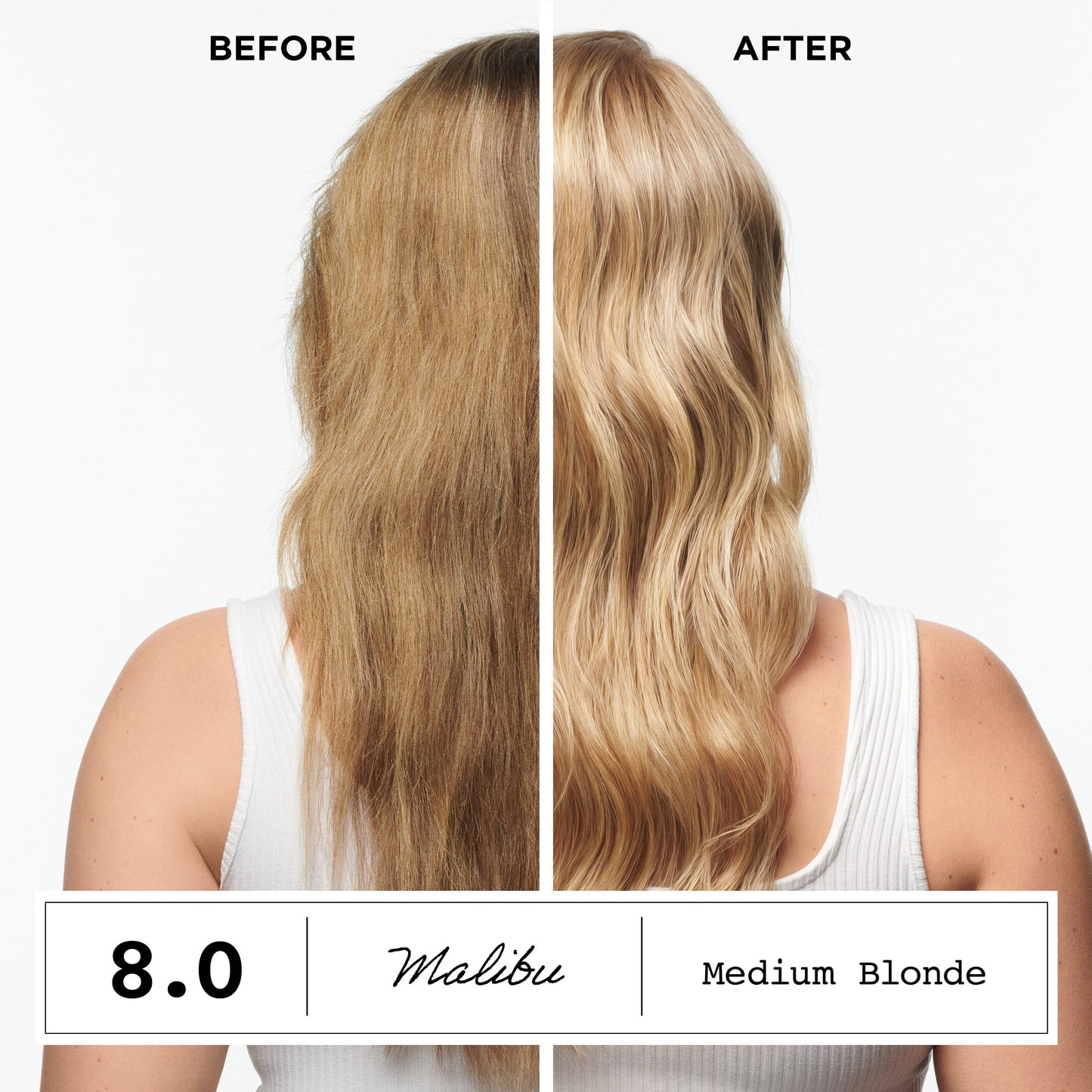 White Smoke Clairol ColorStrong Permanent Hair Dye, Ammonia‑Free, PPD‑Free, 100% Gray Coverage with Bonding System, 8.0 Medium Blonde - Malibu Hair Color, Pack of 1