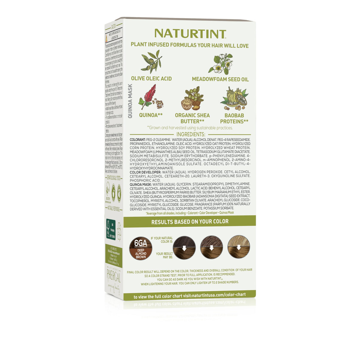 Seashell Naturtint 6GA Deep Almond Brown Permanent Hair Color (Pack of 1), Ammonia Free, Vegan, Cruelty Free, up to 100% Gray Coverage, Long Lasting Results (Packaging may vary)