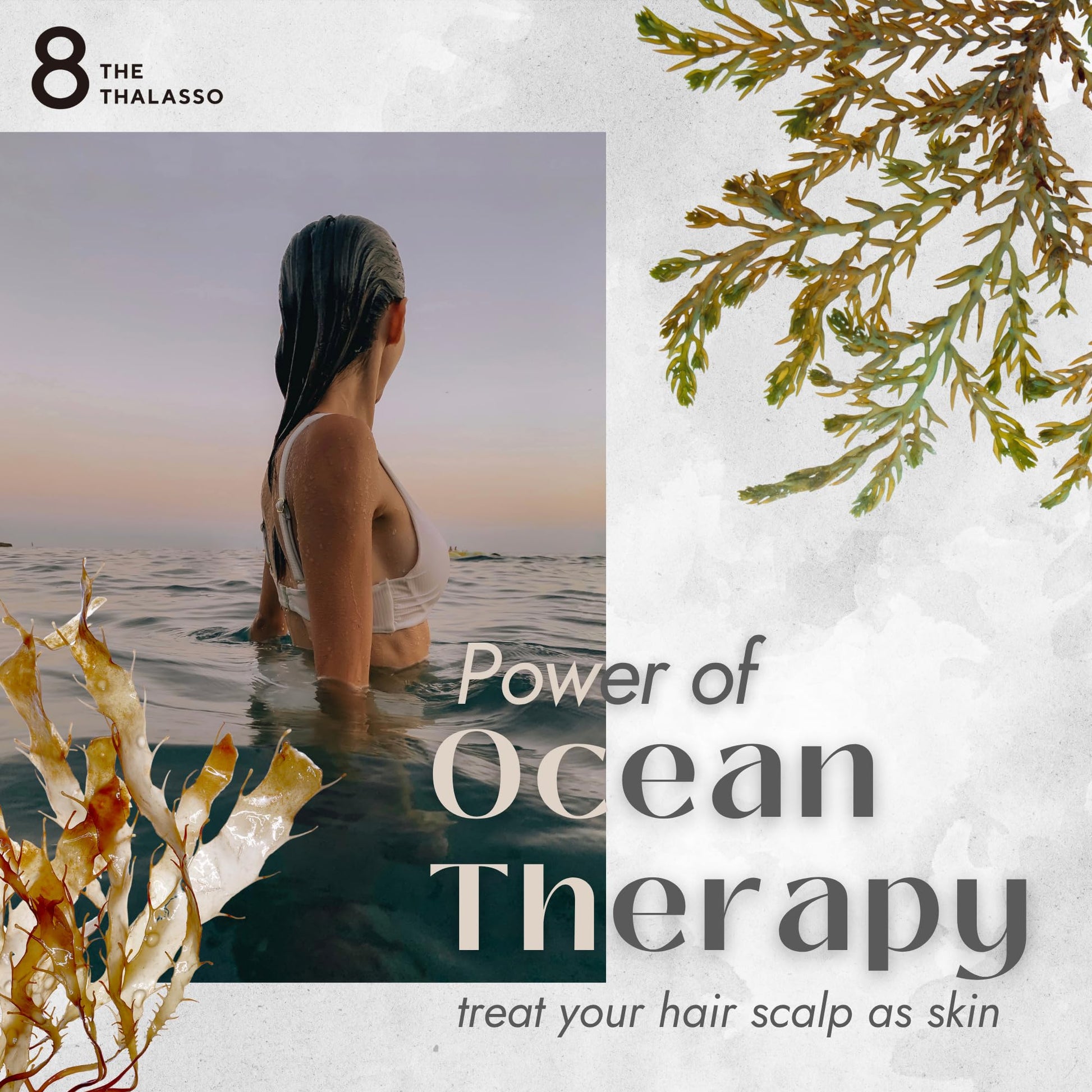 Lavender 8 THE THALASSO Anti Frizz Shampoo for Women & Men, Organic Tea Tree Shampoo by Mint, Collagen, Peptides, Stem Cells & Deep Sea Water from Japan, Paraben and Sulfate Free, 16.1 Fl Oz, DRY HAIR