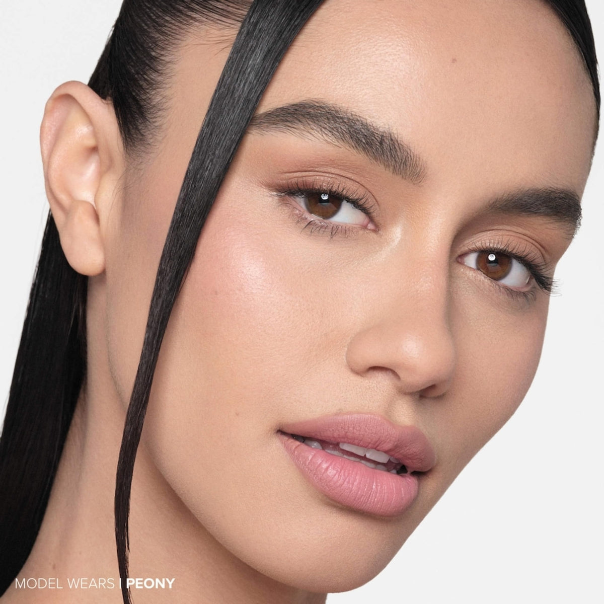 Tan Anastasia Beverly Hills - Matte Lipstick Full-Pigment Velvet Color