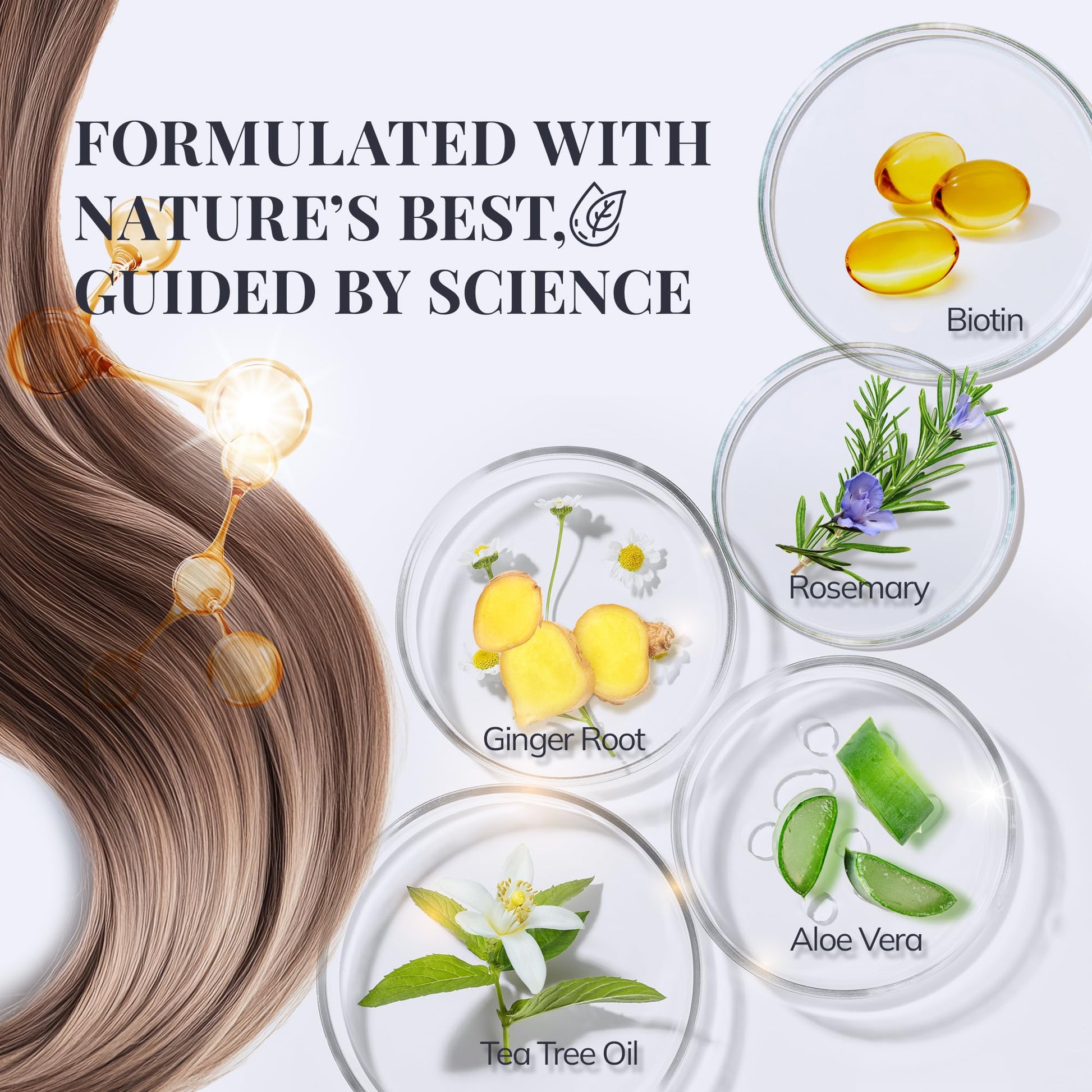 Lavender Biotin & Rosemary Shampoo for Hair Growth: Hair Loss Shampoo for Thinning Hair Infused with Natural Nutrient Rich Ingredients for Hair thickening Sulfate Free 10 fl oz