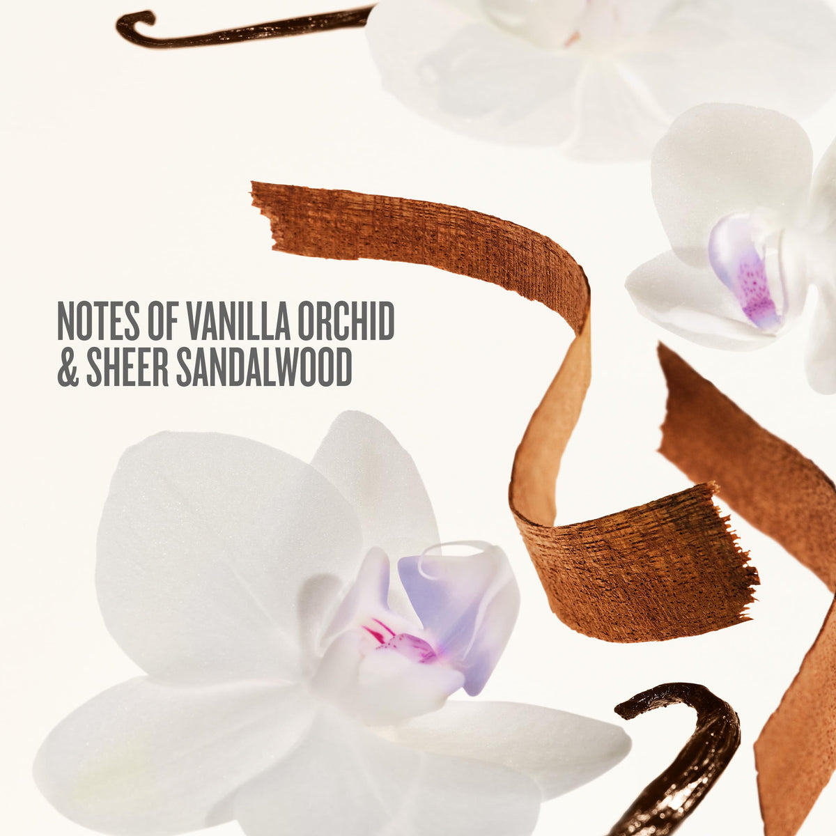 White Smoke Sol de Janeiro Delicia Drench Vanilla Moisturizing Body Routine Gift Set