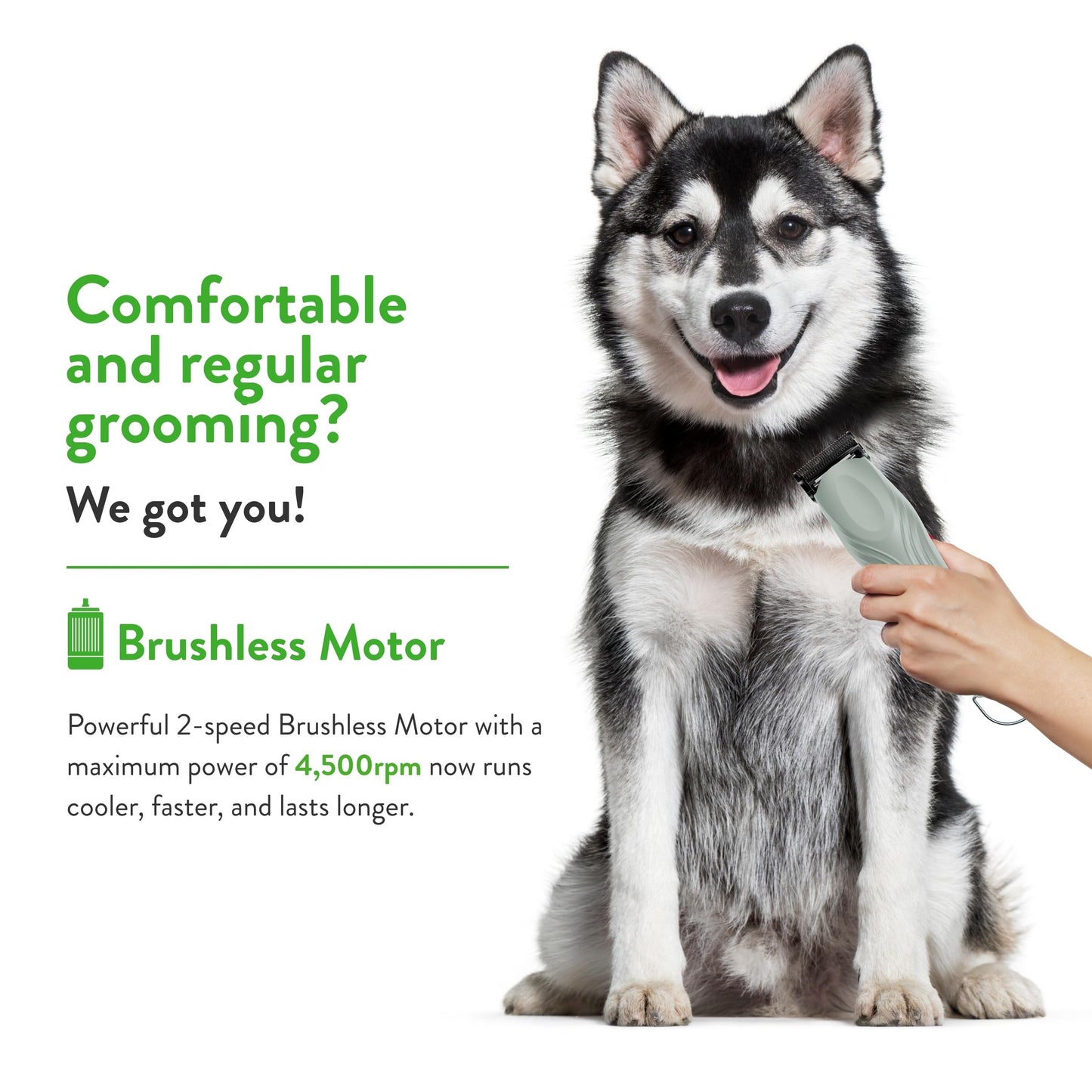 White Smoke Wahl Professional Animal KMC+ 2-Speed Cordless Clipper (3025661) - Detachable Blade Pet & Dog Clipper Kit - Patented Ergonomic Housing Design - Sage