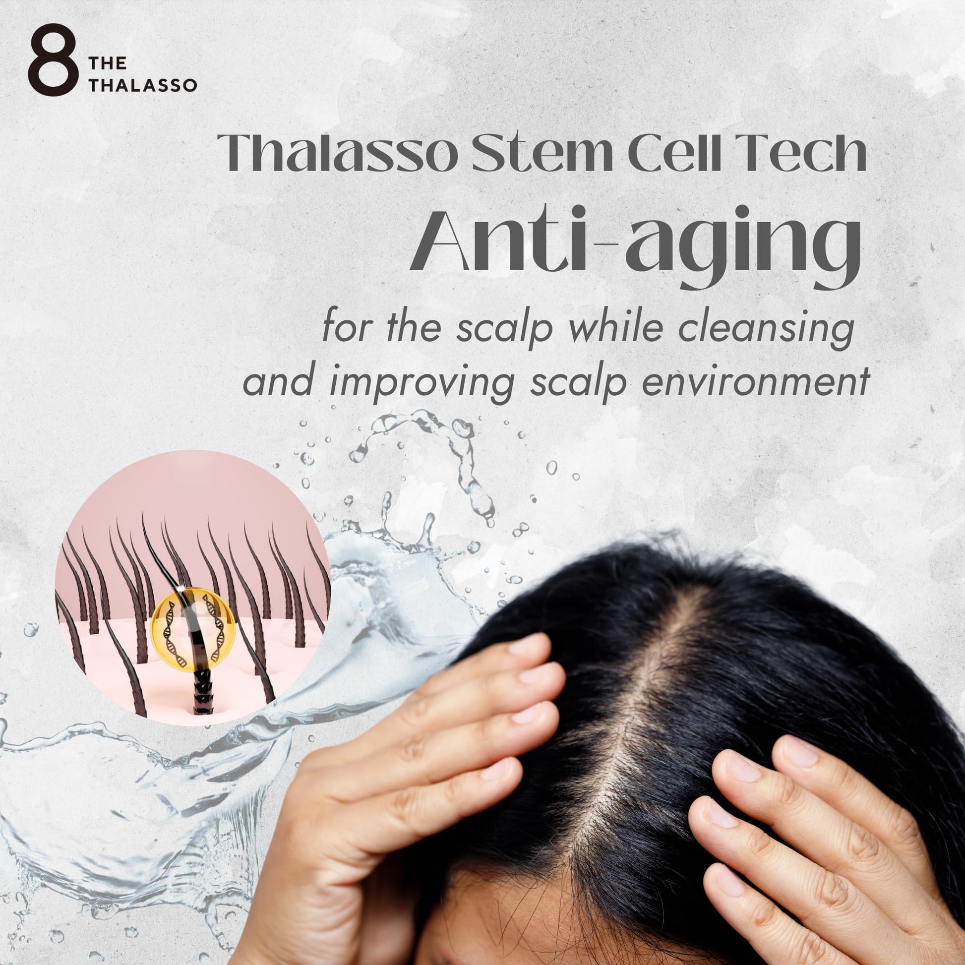 Lavender 8 THE THALASSO Anti Frizz Shampoo for Women & Men, Organic Tea Tree Shampoo by Mint, Collagen, Peptides, Stem Cells & Deep Sea Water from Japan, Paraben and Sulfate Free, 16.1 Fl Oz, DRY HAIR