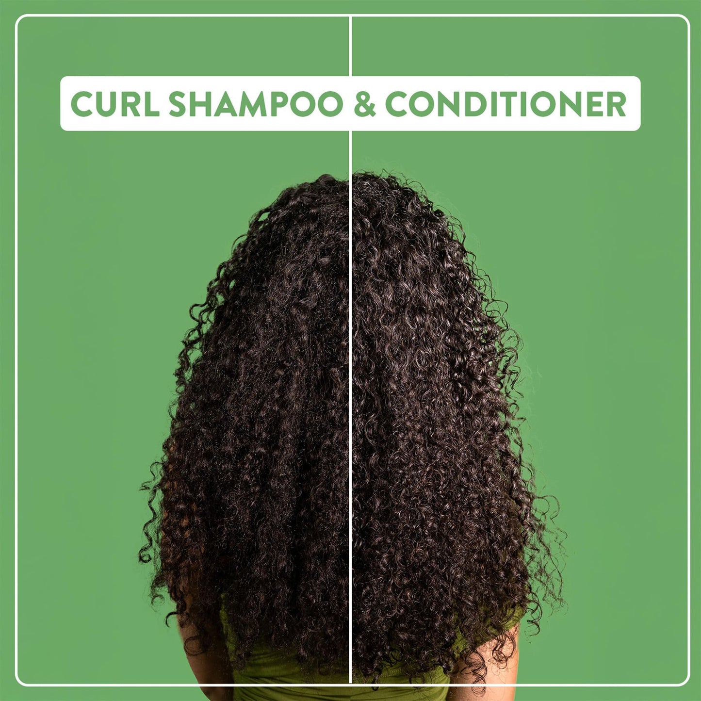 Medium Sea Green Alcôve - Curls Shampoo - Hydrating Formula - Sulfate-Free - Enhances Curl Definition - Frizz Control - Wavy Curly Coily Hair - Gentle Cleanse - Spa-Like Experience- For Women and Men - 10 fl.oz Bottle