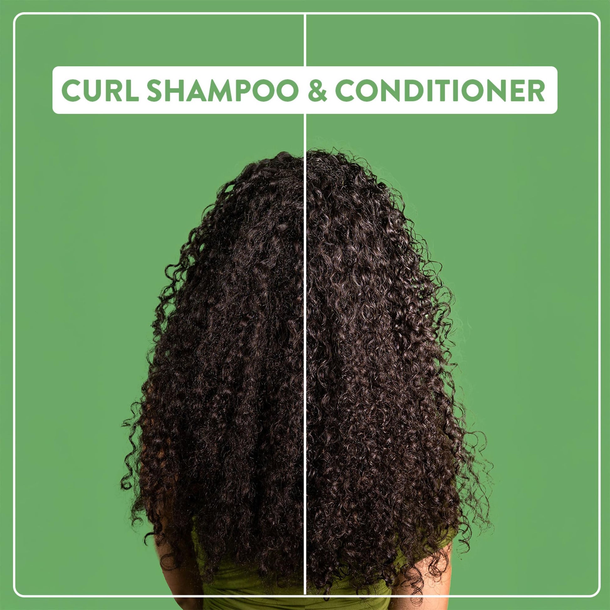 Medium Sea Green Alcôve - Curls Shampoo - Hydrating Formula - Sulfate-Free - Enhances Curl Definition - Frizz Control - Wavy Curly Coily Hair - Gentle Cleanse - Spa-Like Experience- For Women and Men - 10 fl.oz Bottle