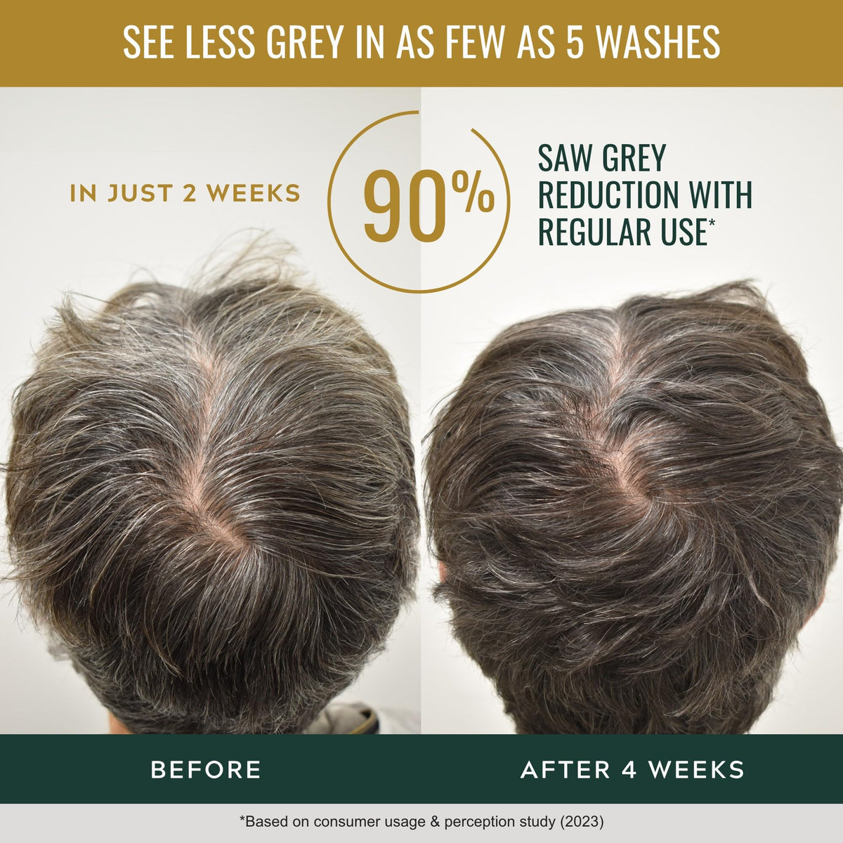 Lavender Just for Men Control GX + THK Thickening Shampoo and Conditioner with Grey Reduction, 4 oz