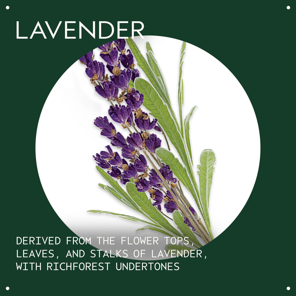 Dark Slate Gray Aveda Lavender Essential Oil + Base | Calming Aroma | For Body & Bath, 1 Fl Oz