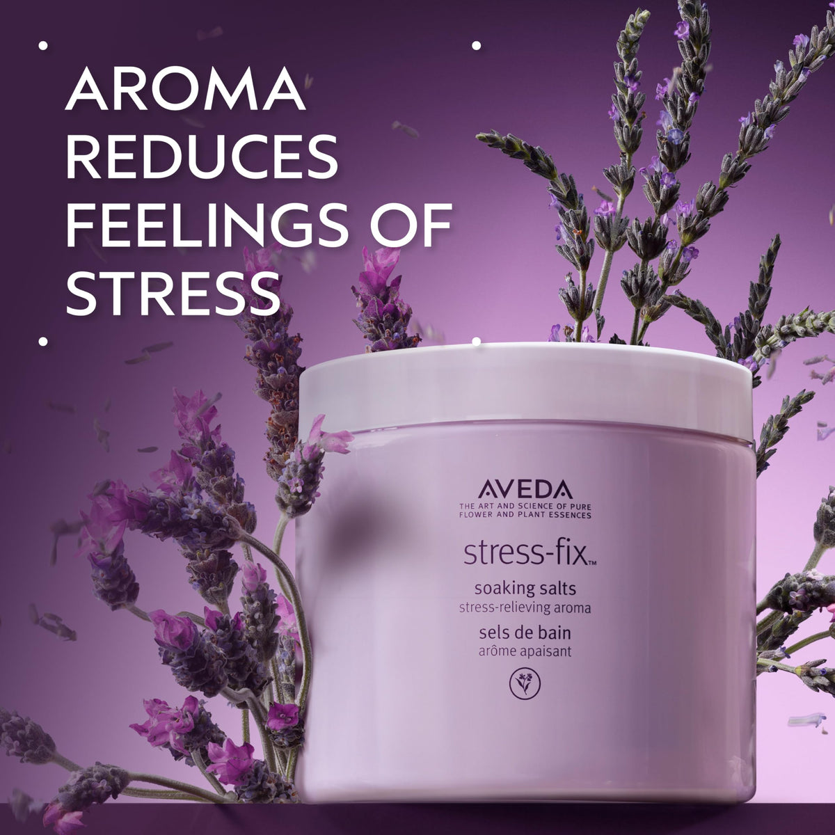 Dark Slate Gray Aveda Stress-Fix Soaking Salts | Stress-Relieving Bath Salts | with Aroma of Lavender, Lavandin, Clary Sage, 16 Ounce