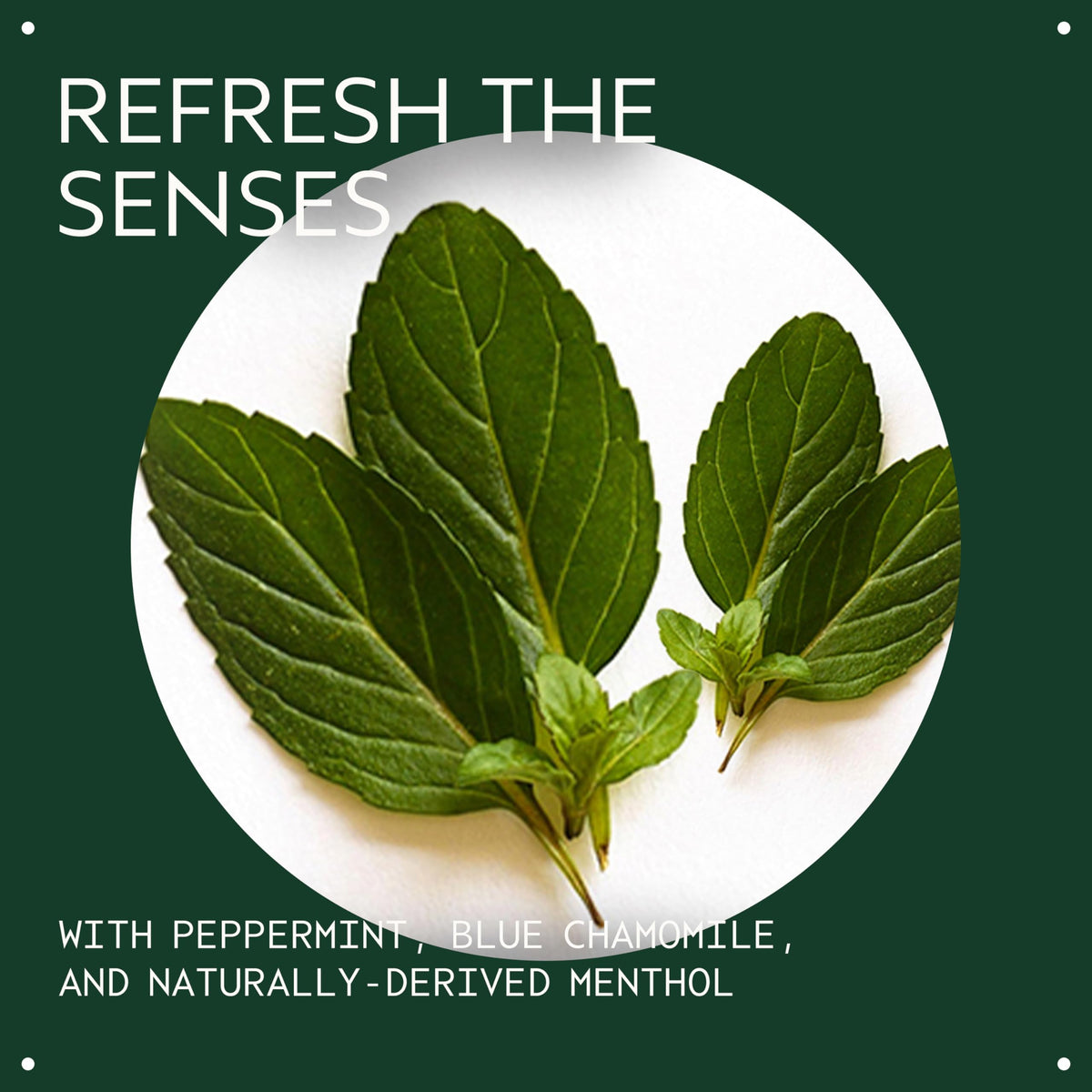 Dark Slate Gray Aveda Cooling Balancing Oil Concentrate | Massage Into Sore, Achy Muscles | with Certified Organic Peppermint, Blue Chamomile | Naturally Derived* Menthol