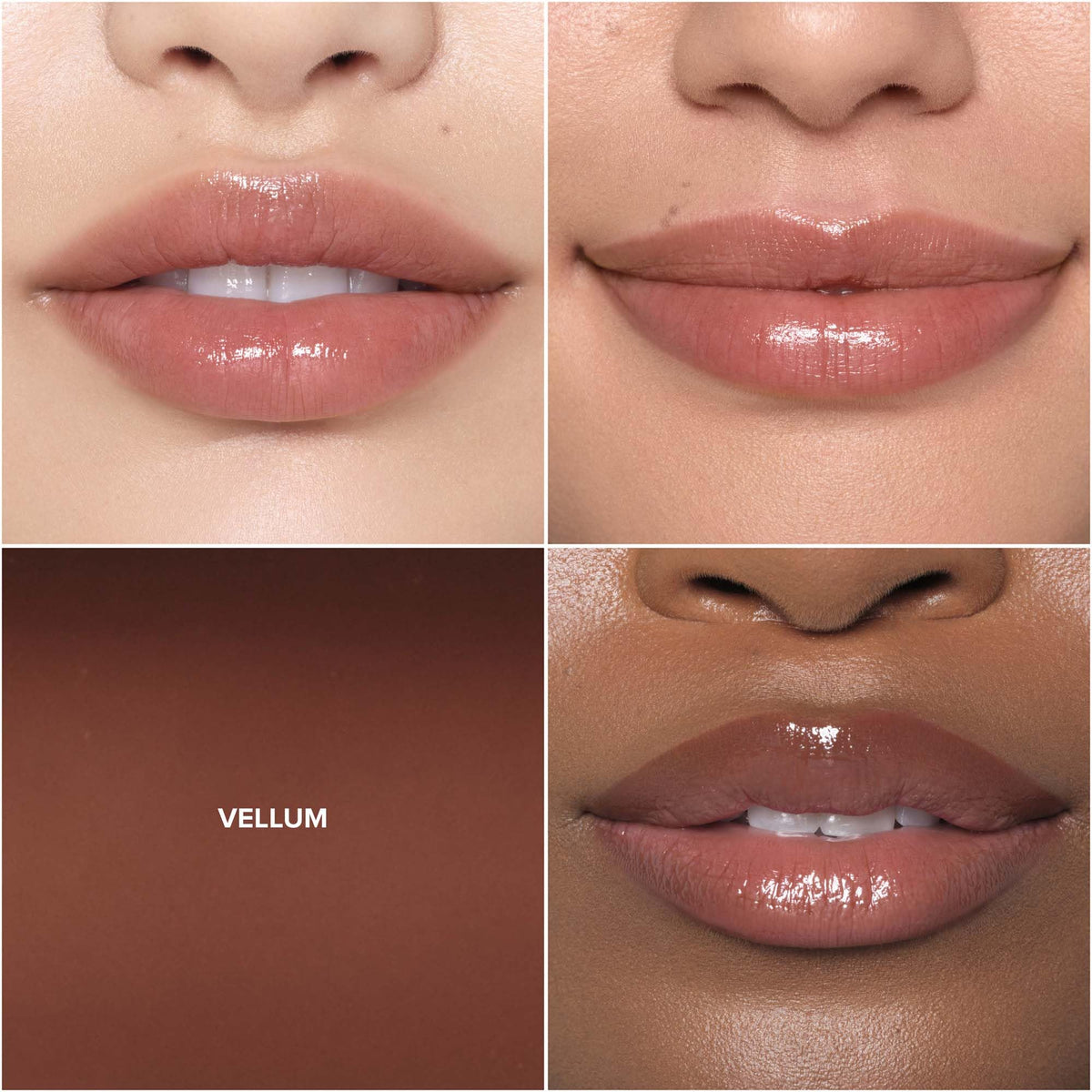 Saddle Brown Anastasia Beverly Hills - Kiss Theory Hydrating Glossy Shine Lip Balm