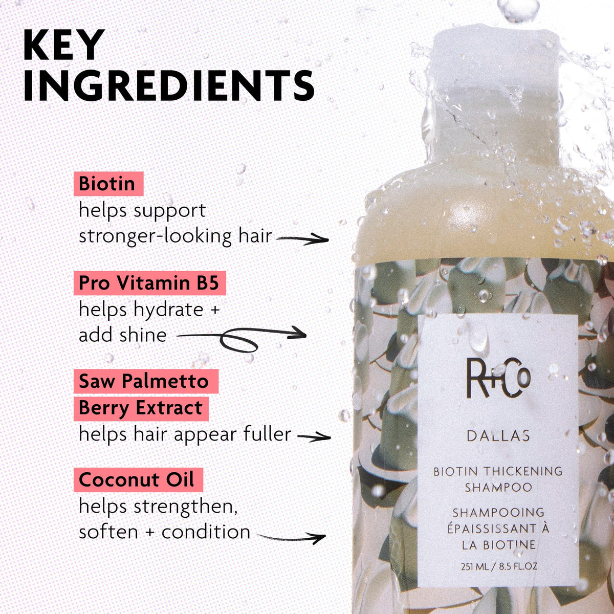 White Smoke R+Co DALLAS Biotin Thickening Shampoo – Full Case, Volumizing & Strengthening Hair Cleanser, Adds Body & Shine, All Hair Types
