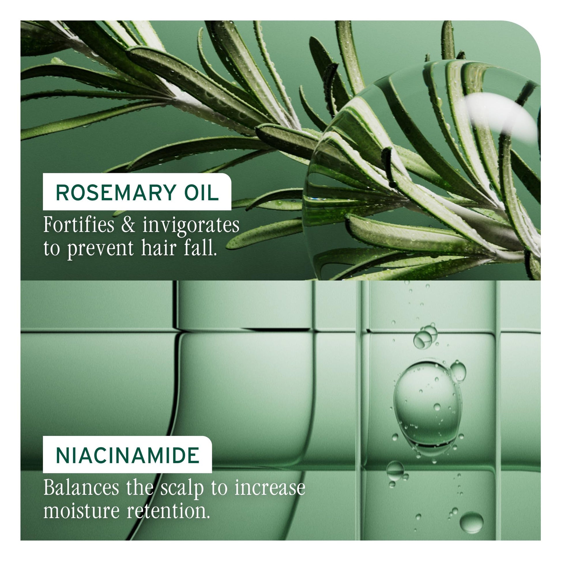 Dark Sea Green Biolage Full Rescue Shampoo - Fortifies & Strengthens for Stronger Hair, Longer Lengths in 4 weeks*, Instantly Fuller-Looking Hair, Rosemary Oil & Niacinamide, Vegan & Cruelty-Free, 13.5 FL Oz