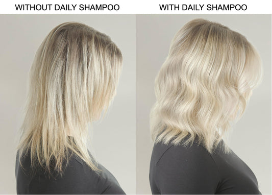Light Gray Alcôve - Daily Shampoo - Evening Primrose Oil, Mango Extract, and Argan Oil - Sulfate-Free - All Hair Types - Everyday use - Anti-static - Color-Safe -10oz