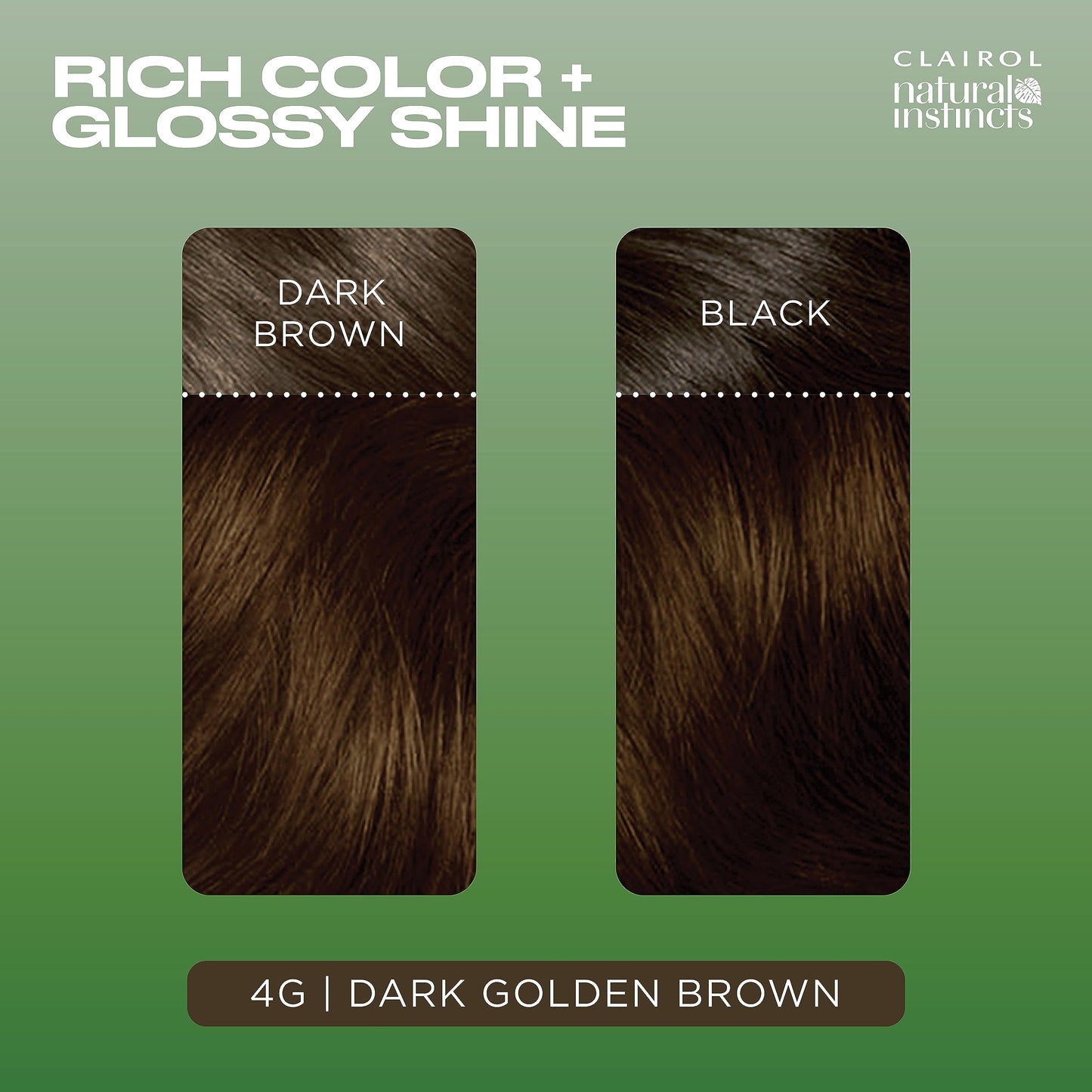 Black Clairol Natural Instincts Demi-Permanent Hair Dye, 4G Dark Golden Brown Hair Color, Pack of 1