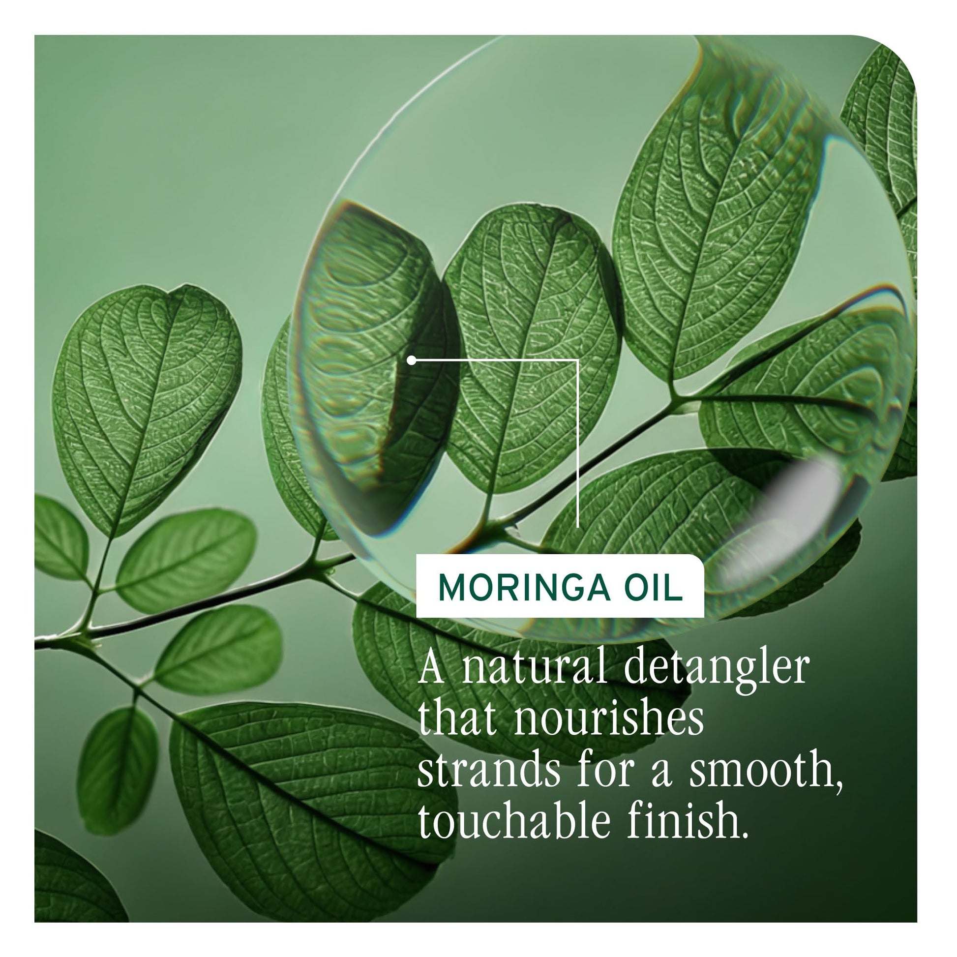 Dark Sea Green Biolage All-In-One Multi-Benefit Styling Oil - Detangles, Nourishes & Smoothes, For All Hair Types, With Moringa Oil, Vegan, 3.4 Fl Oz