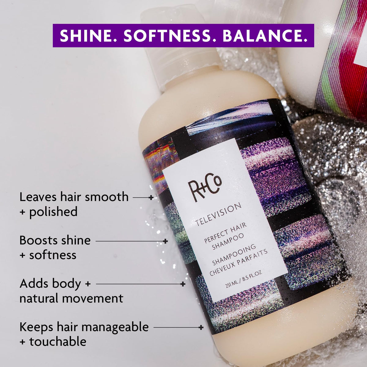 Gray R+Co TELEVISION Perfect Hair Shampoo, 2.0 Oz
