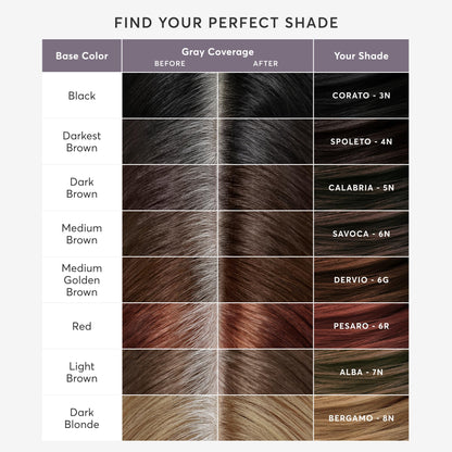 White Smoke Madison Reed Root Perfection Root Touch Up Kit – 5N Calabria Dark Brown, 100% Gray Coverage in 10 Min, Ammonia-Free, 2 Applications