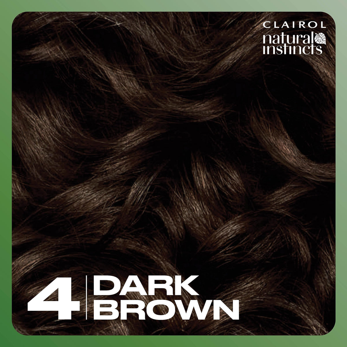 Black Clairol Natural Instincts Demi-Permanent Hair Dye, 4 Dark Brown | 1 Pack