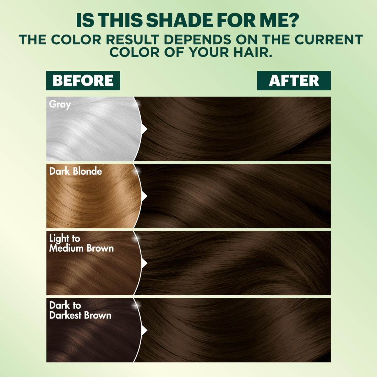 Black Garnier Nutrisse Ultra Coverage Hair Color, Permanent Hair Dye for Up to 8 Weeks of Stubborn Gray Coverage, Vegan & Cruelty-Free, 500 Deep Medium Natural Brown (Glazed Walnut), 1 Count