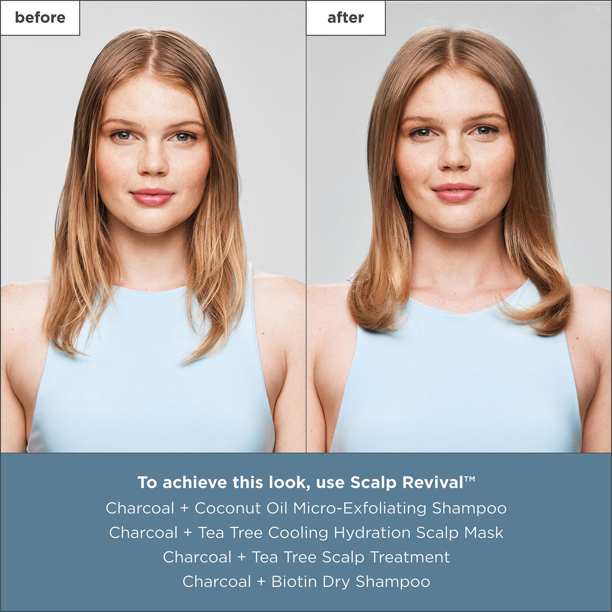 Slate Gray Briogeo Scalp Revival Charcoal + Tea Tree Cooling Hydration Scalp Mask