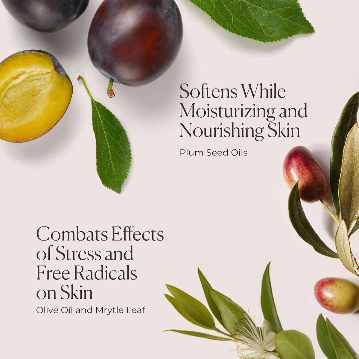 Lavender Laura Mercier Delicious & Decadent Ambre Vanille Collection, Serum Body Cream with 48HR Hydration, Hydrating Body Wash to Soften and Smooth Skin, Honey Bath Gel, Foaming Bubble Bath, Holiday Gift Set