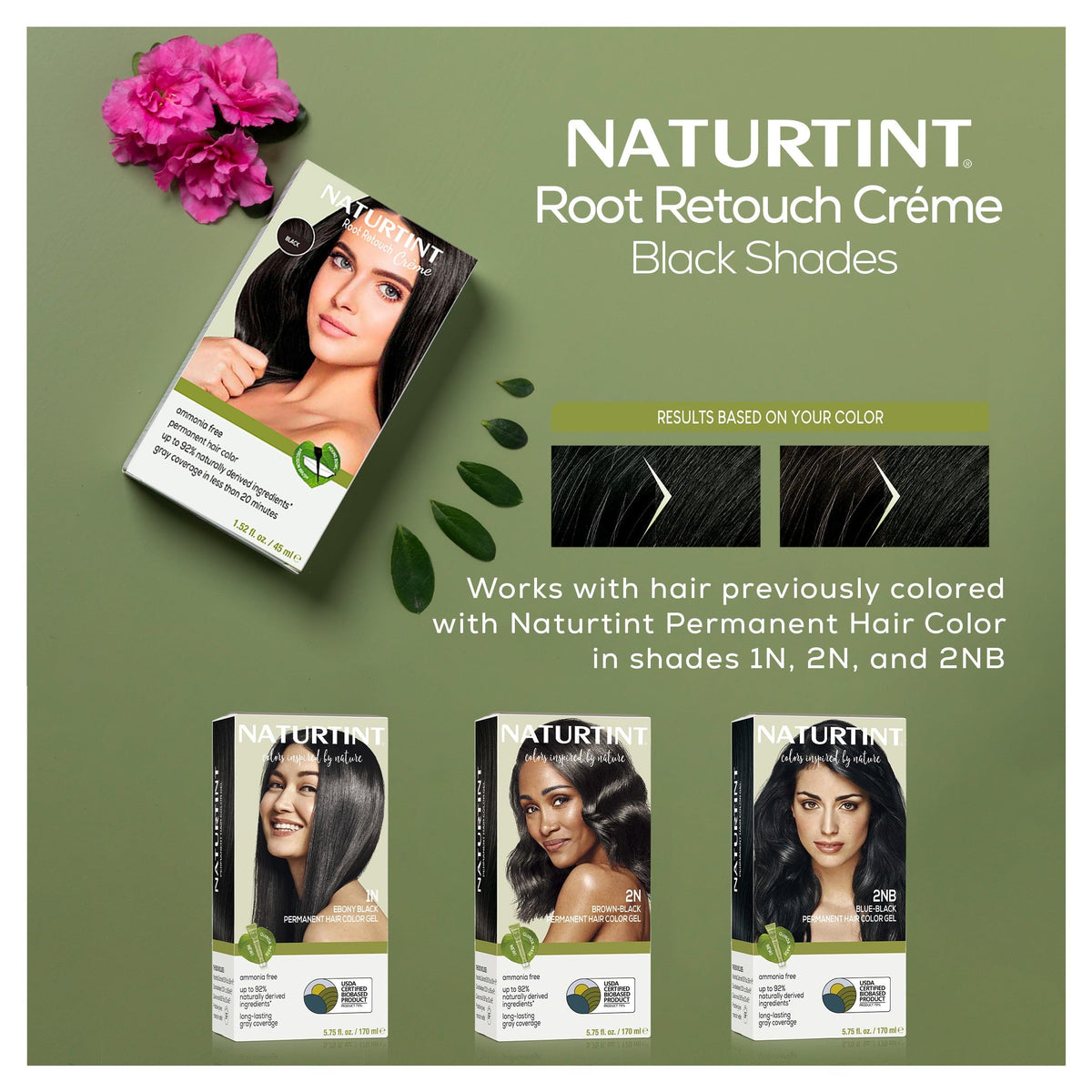 Slate Gray Naturtint Black Root Retouch Crème Permanent Hair Color - Ammonia Free, Conceal Grays, No Artificial Scent, 1.52 Fl Oz