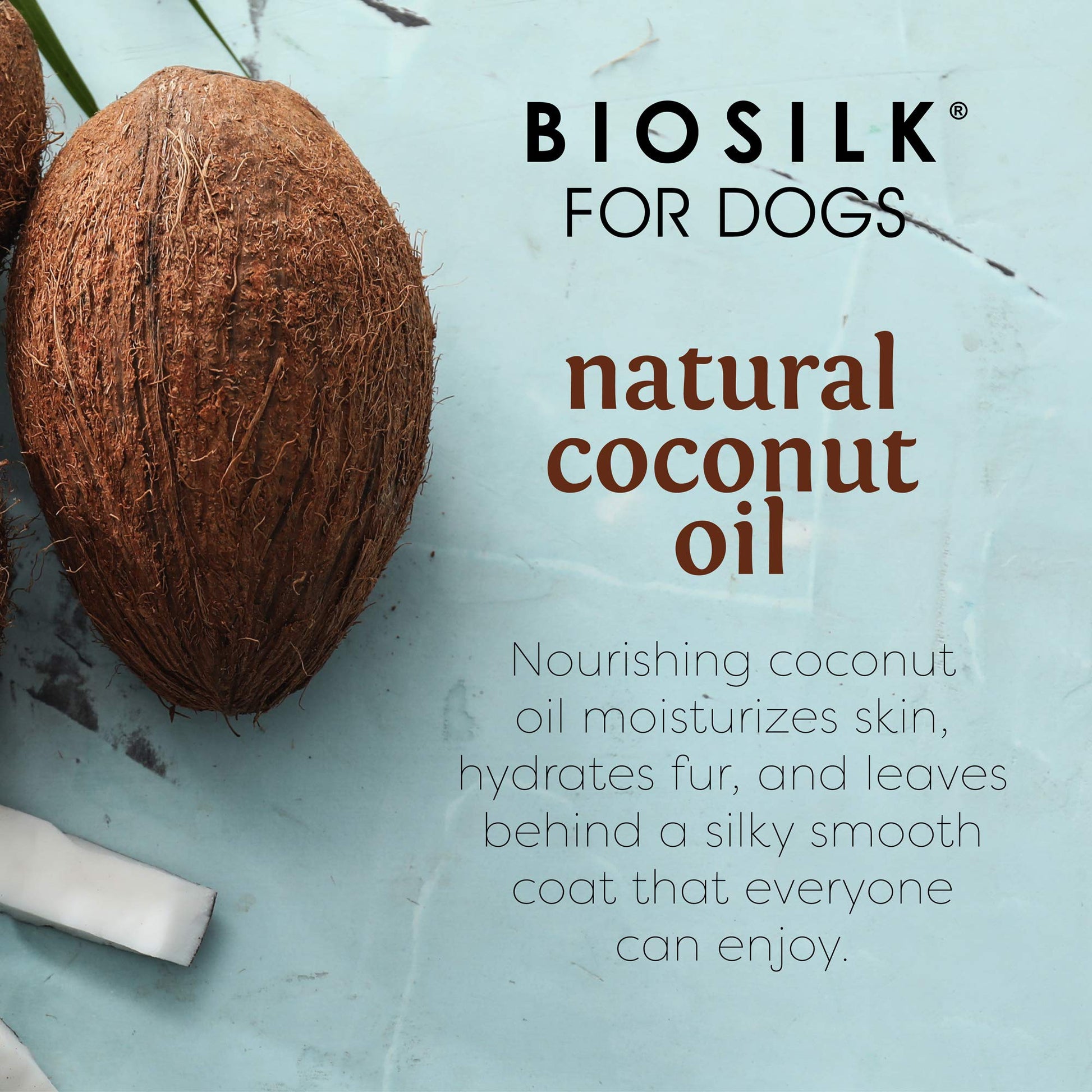 Light Blue BioSilk for Dogs Silk Therapy Shampoo with Organic Coconut Oil | Coconut Dog Shampoo Waterless Shampoo | Dry Dog Shampoo from Silk Therapy for Fresh Dog Coats,Beige