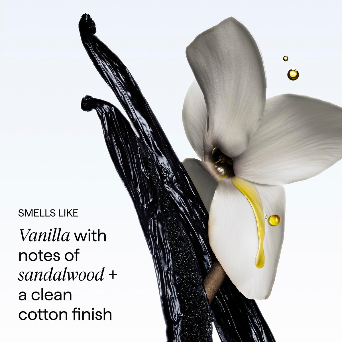 White Smoke Briogeo Destined for Density Caffeine + Biotin Peptide Density Conditioner
