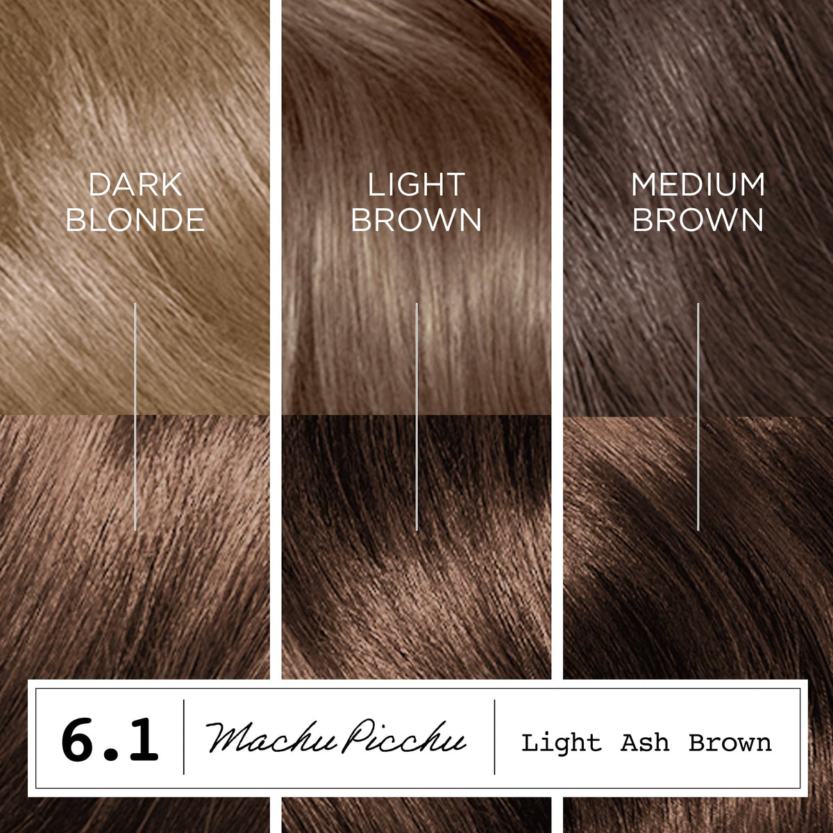 White Smoke Clairol ColorStrong Permanent Hair Dye Ammonia-Free, 6.1 Light Ash Brown