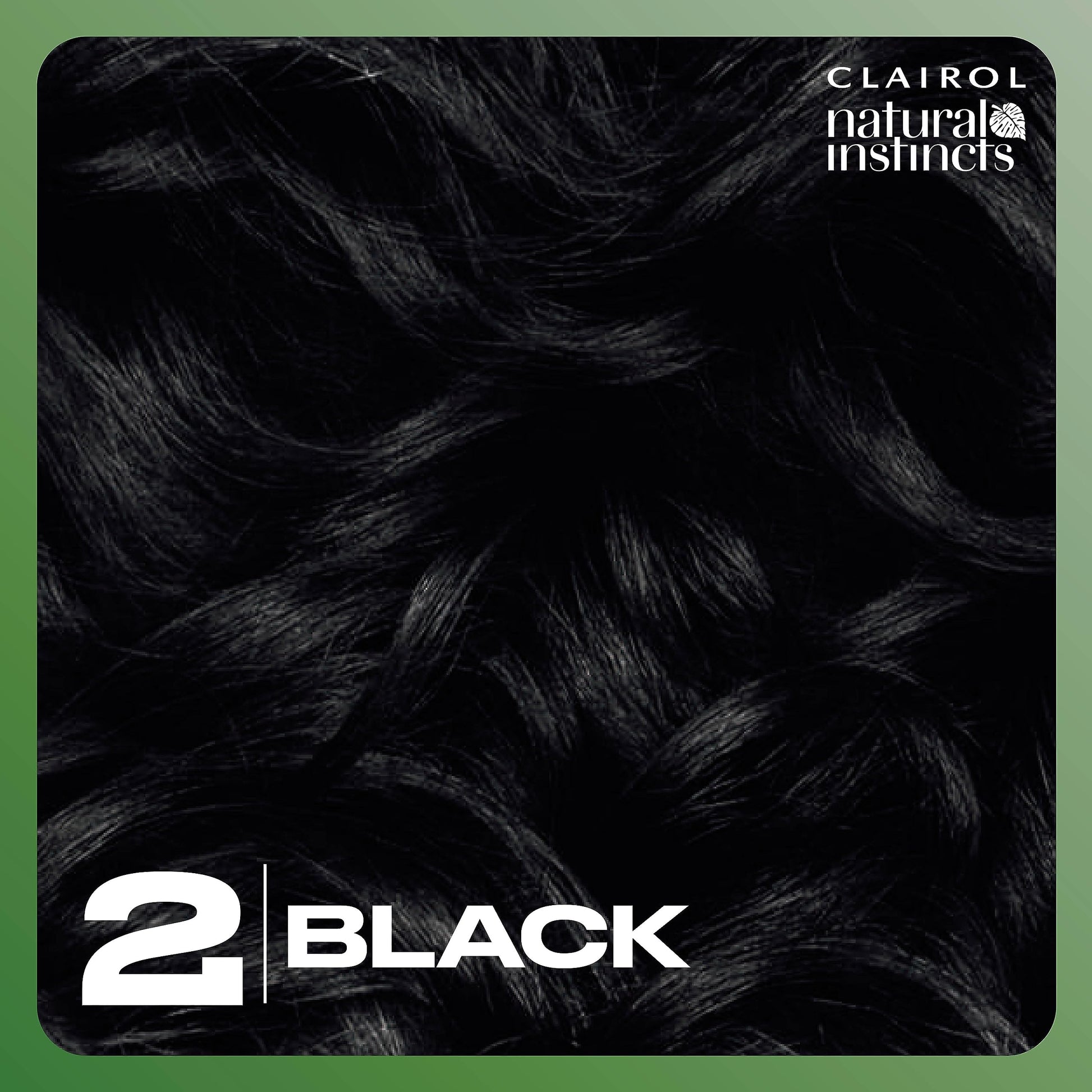 Black Clairol Natural Instincts Demi-Permanent Hair Dye, 2 Black Hair Color, Pack of 3