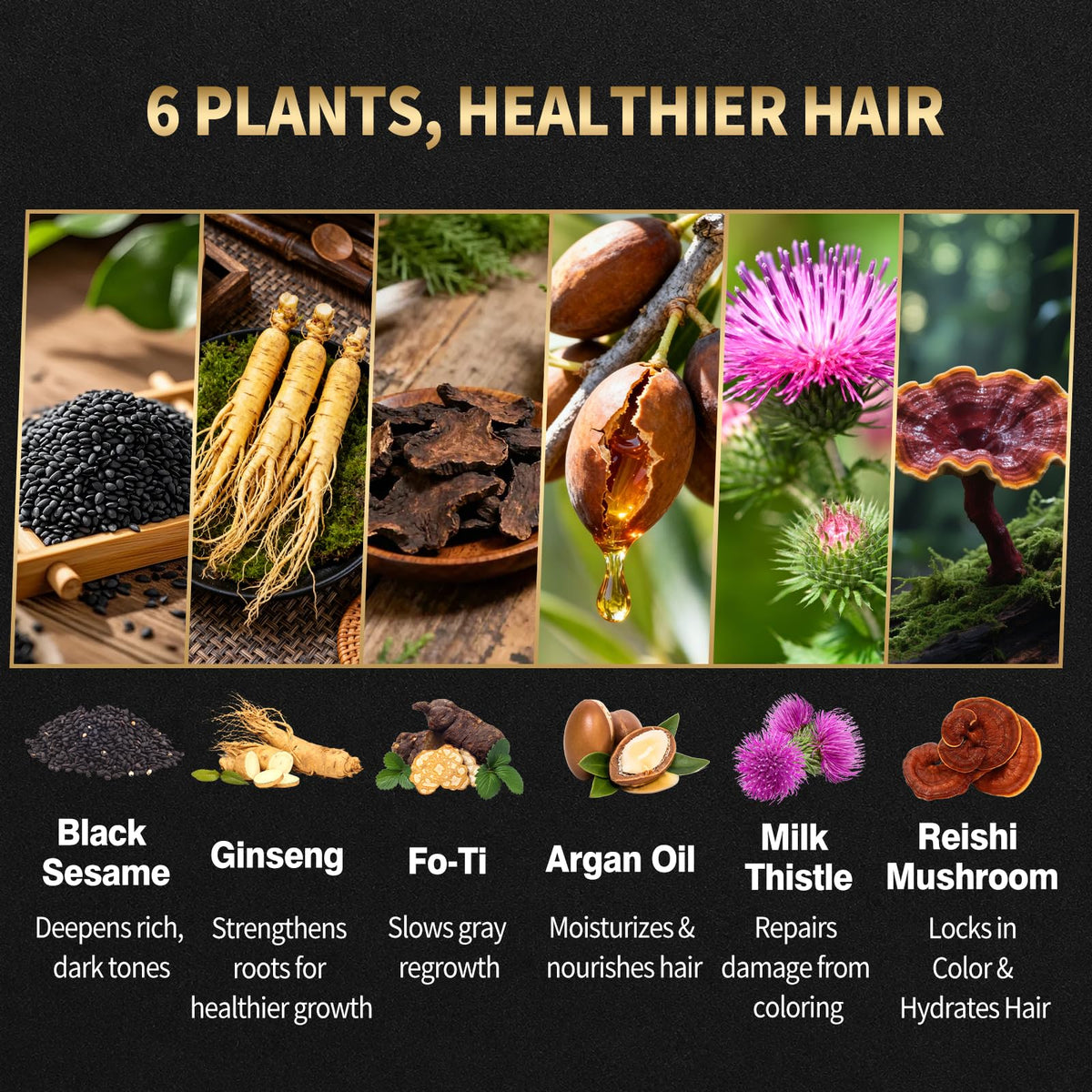 Black Dark Brown Hair Dye Shampoo 3 IN 1 for Gray Coverage with Ginseng