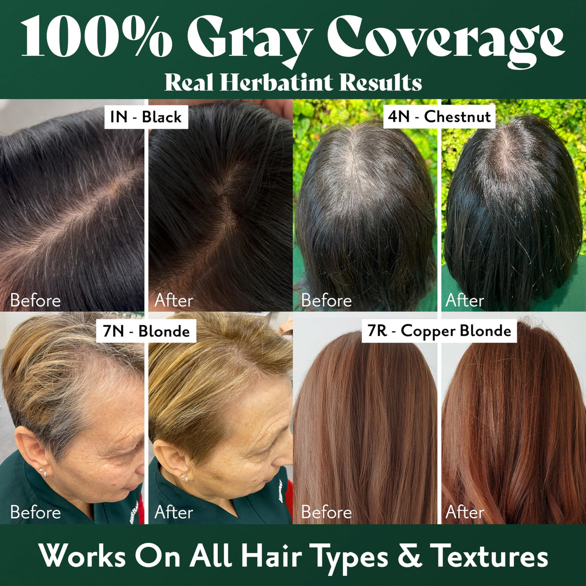 Black Herbatint 2N Brown Permanent Hair Dye, Women's Hair Color