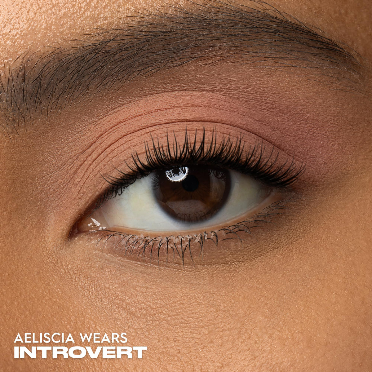 Rosy Brown URBAN DECAY 24/7 Eyeshadow - Peach Matte Shadow (Introvert)