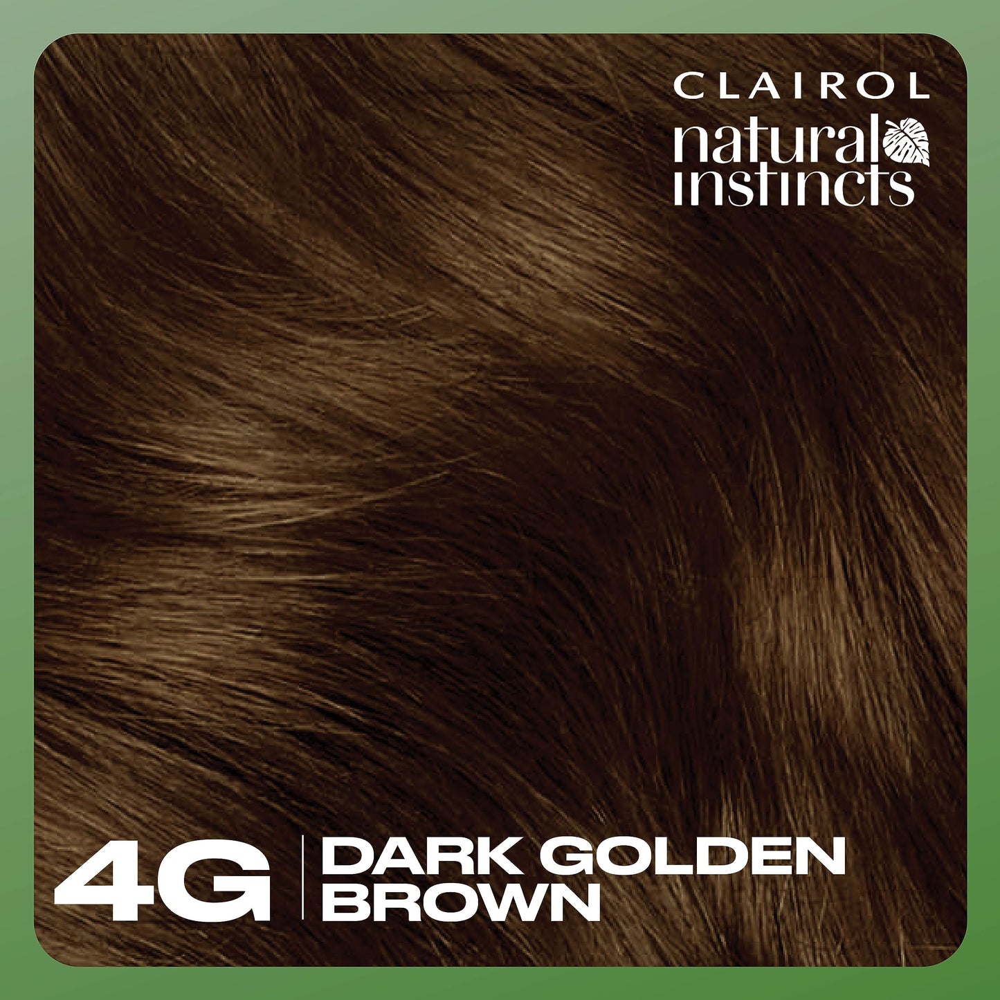 Black Clairol Natural Instincts Demi-Permanent Hair Dye, 4G Dark Golden Brown Hair Color, Pack of 1