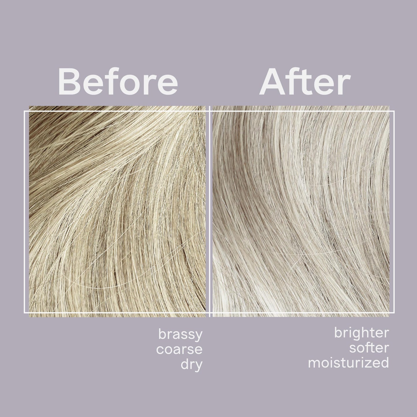 Dark Gray Jhirmack Silver Brightening Purple Shampoo and Conditioner Set for all types of silver, grey, and blonde hair